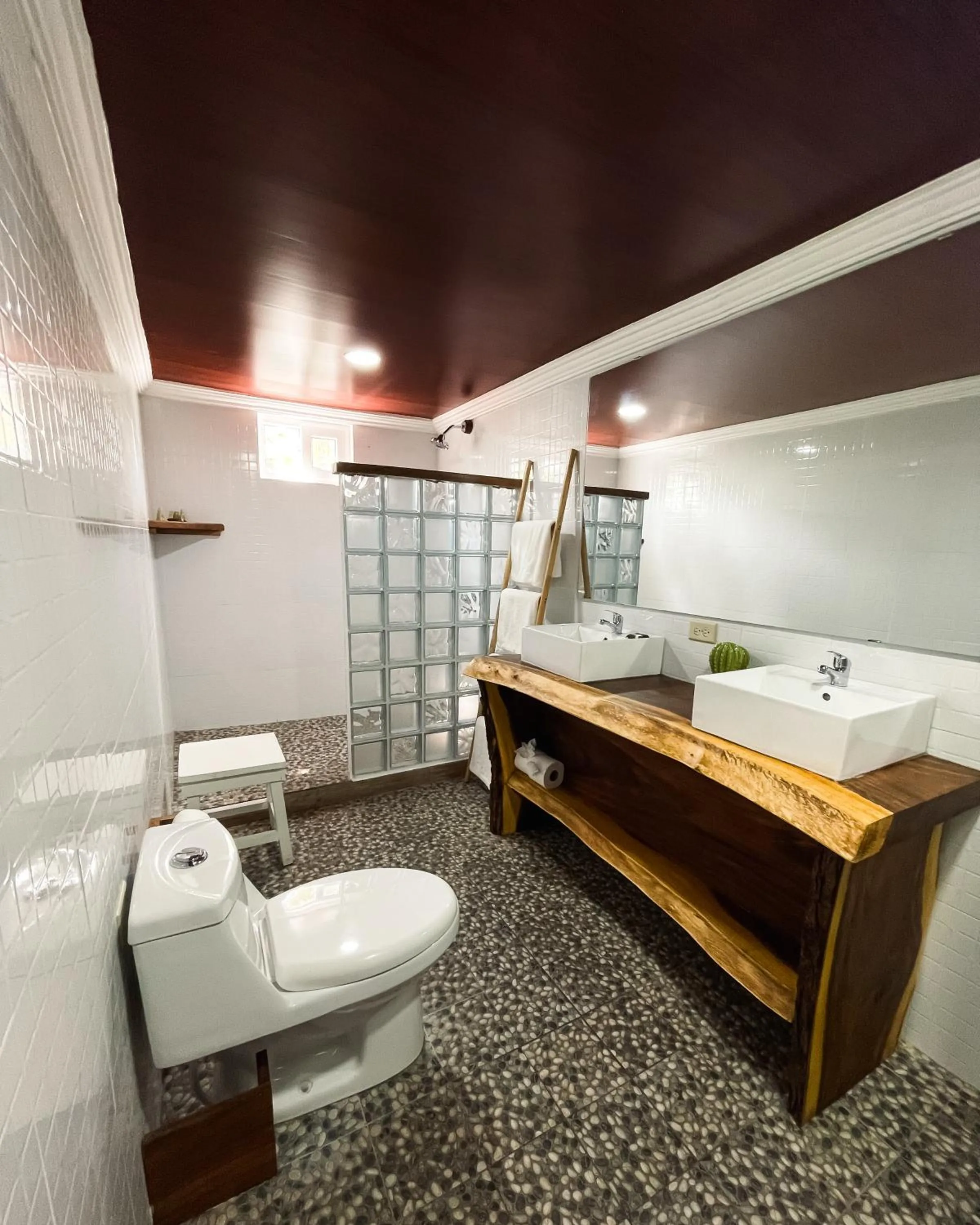 Toilet in Hotel Tortuga Village