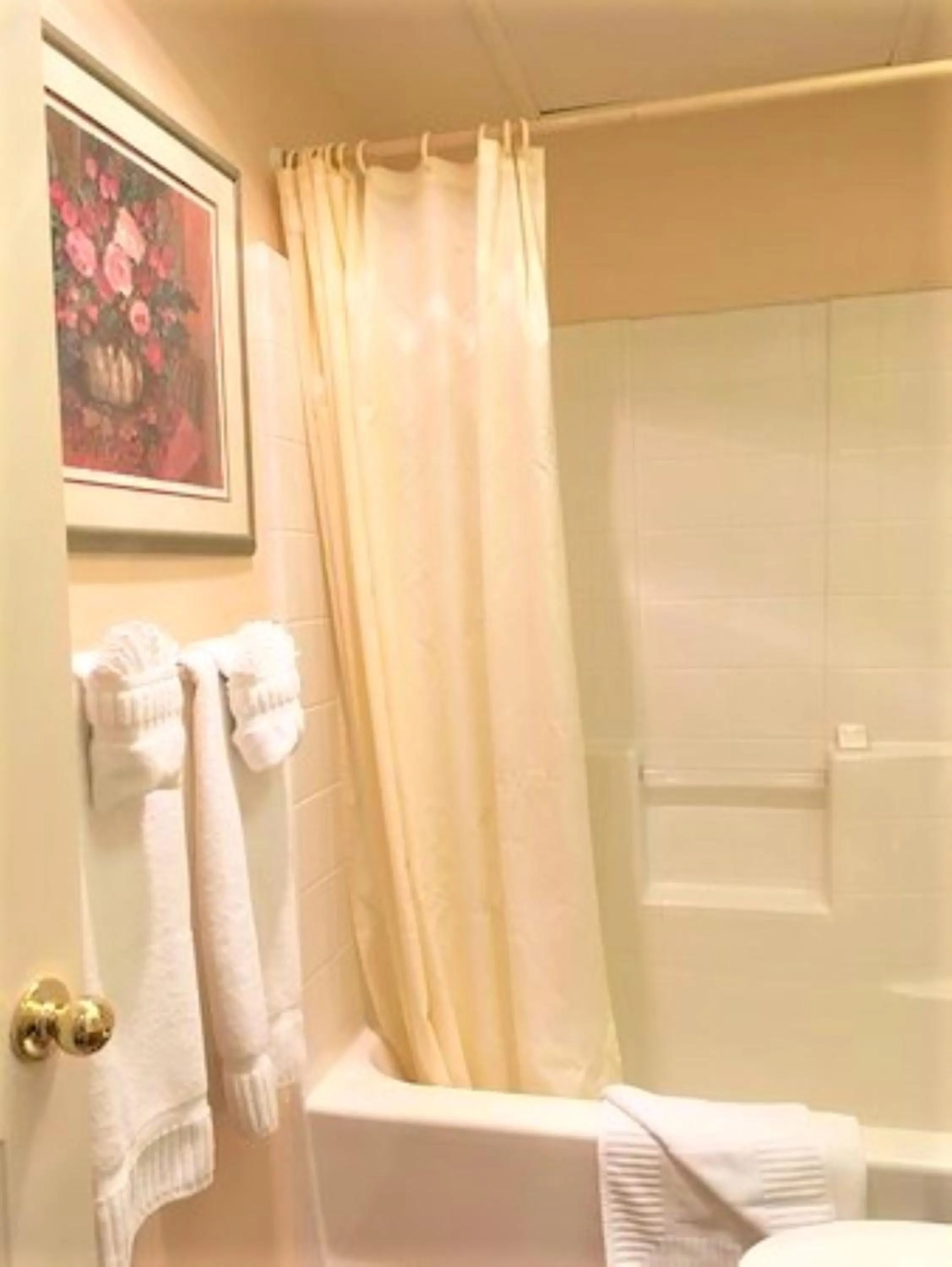 Shower in North Bay At Lake Arrowhead