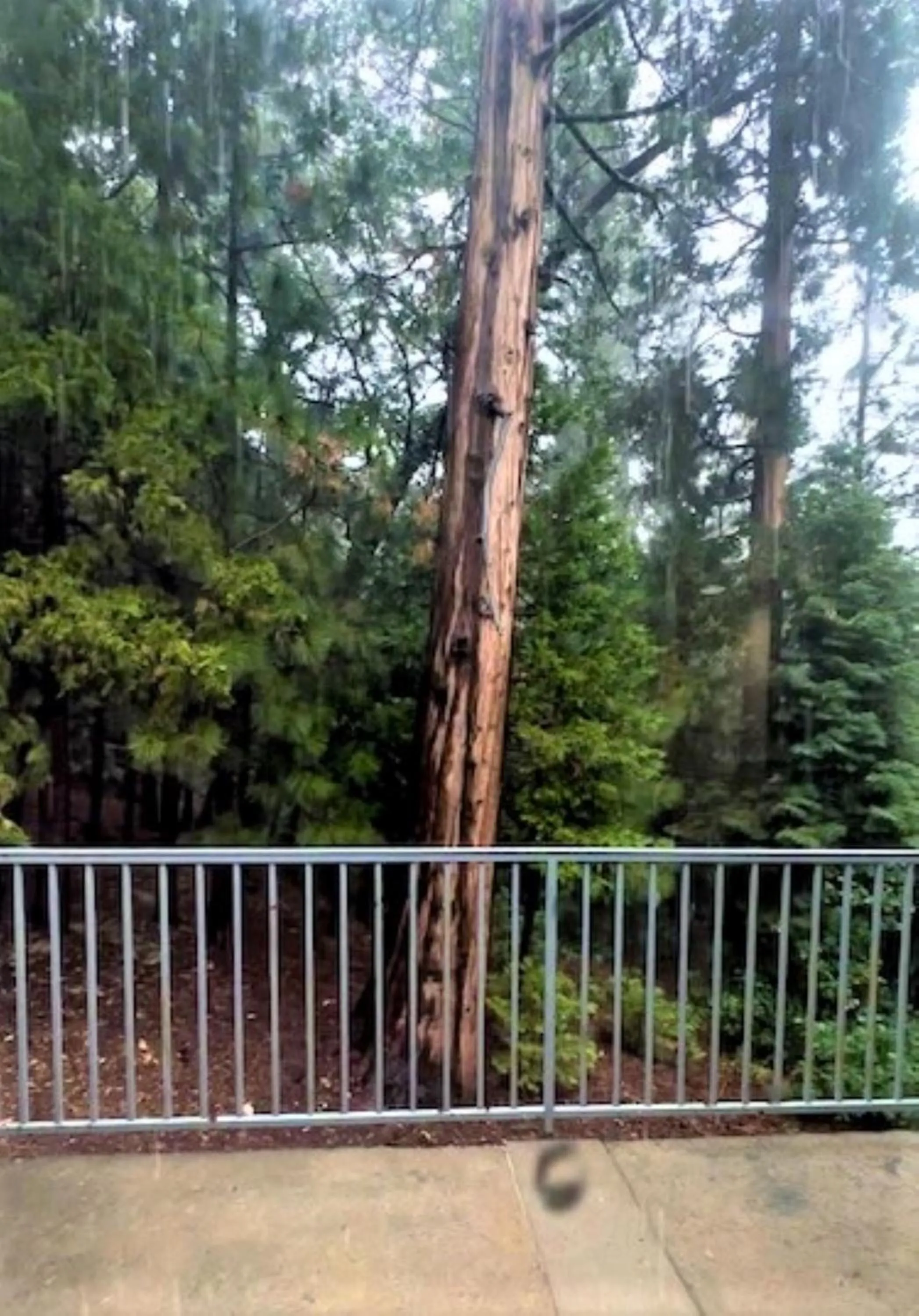 Natural landscape in North Bay At Lake Arrowhead