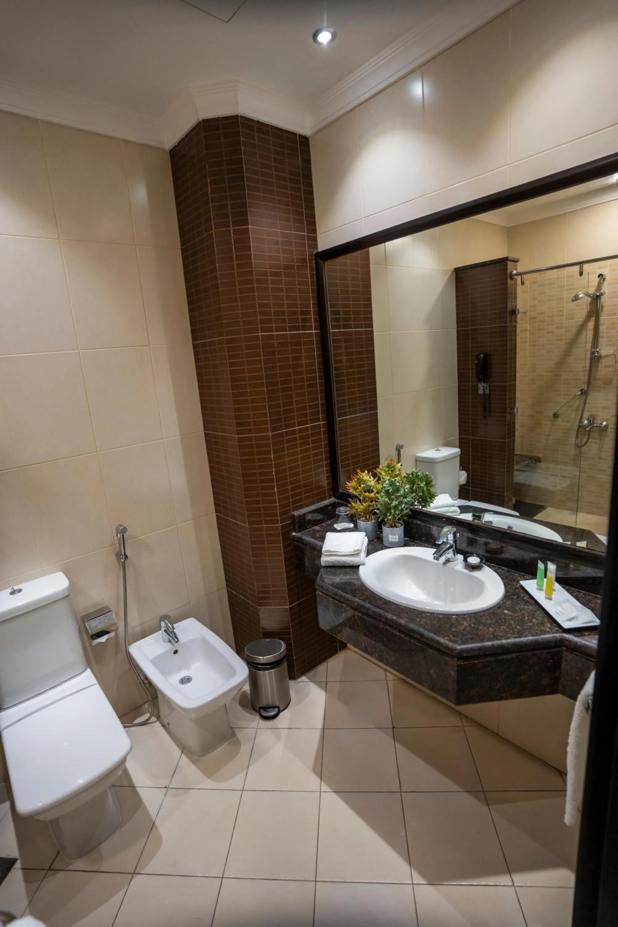 Toilet in Ayass Hotel