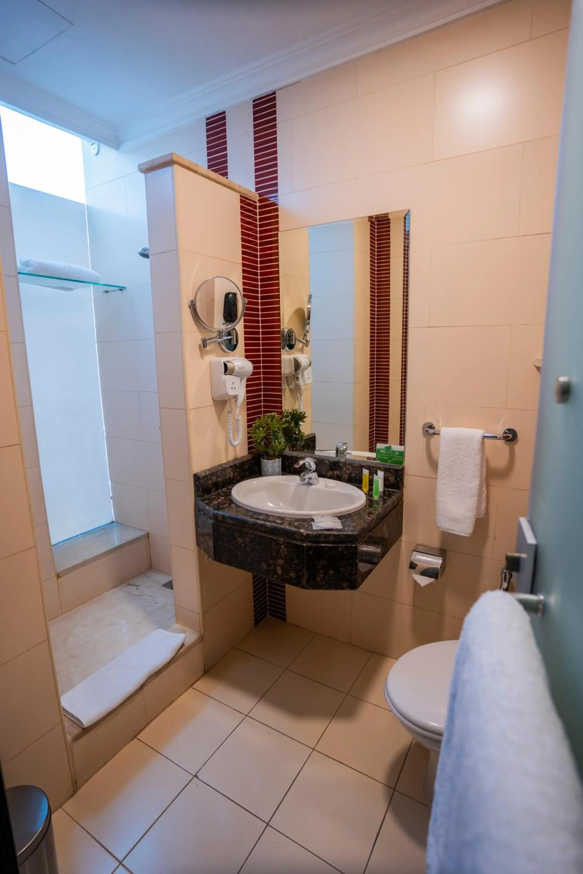 Toilet in Ayass Hotel