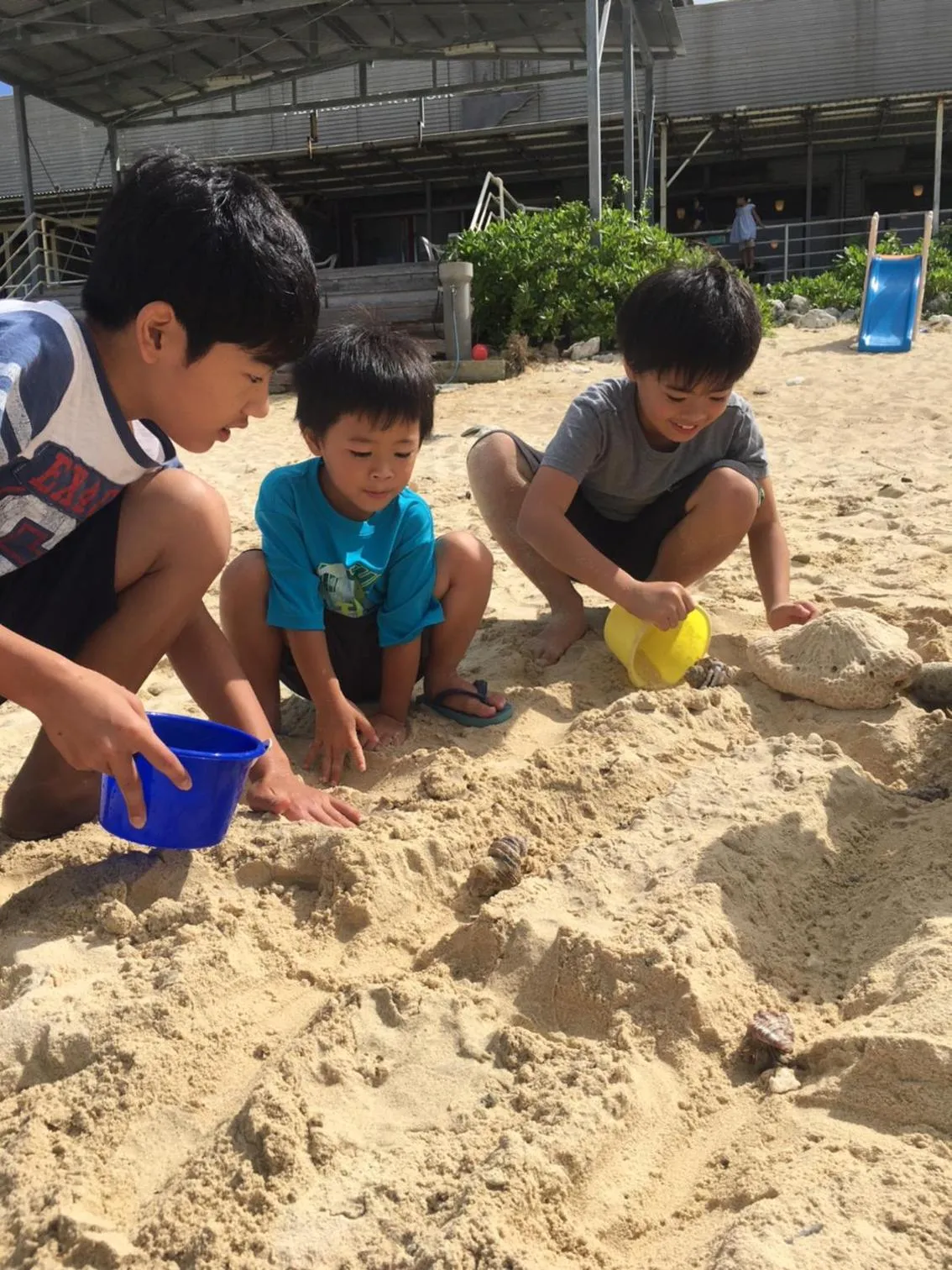 Beach in Hotel & Restaurant On the Beach Lue