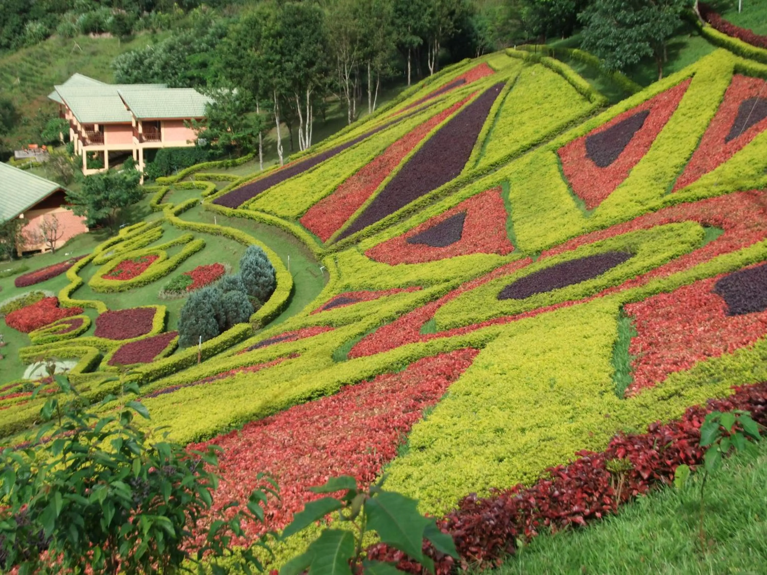 Area and facilities in Pa Sak Tong