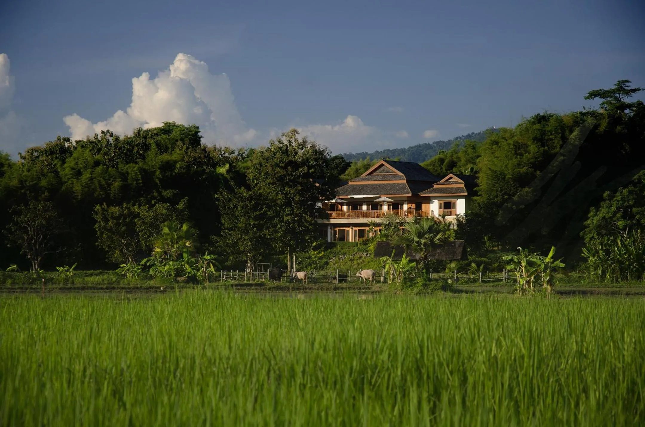 View (from property/room) in Pa Sak Tong