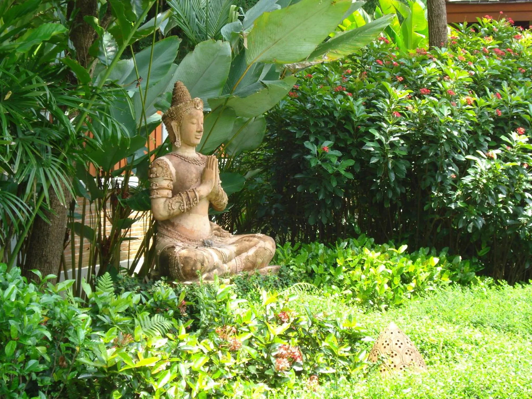 Garden in Pa Sak Tong