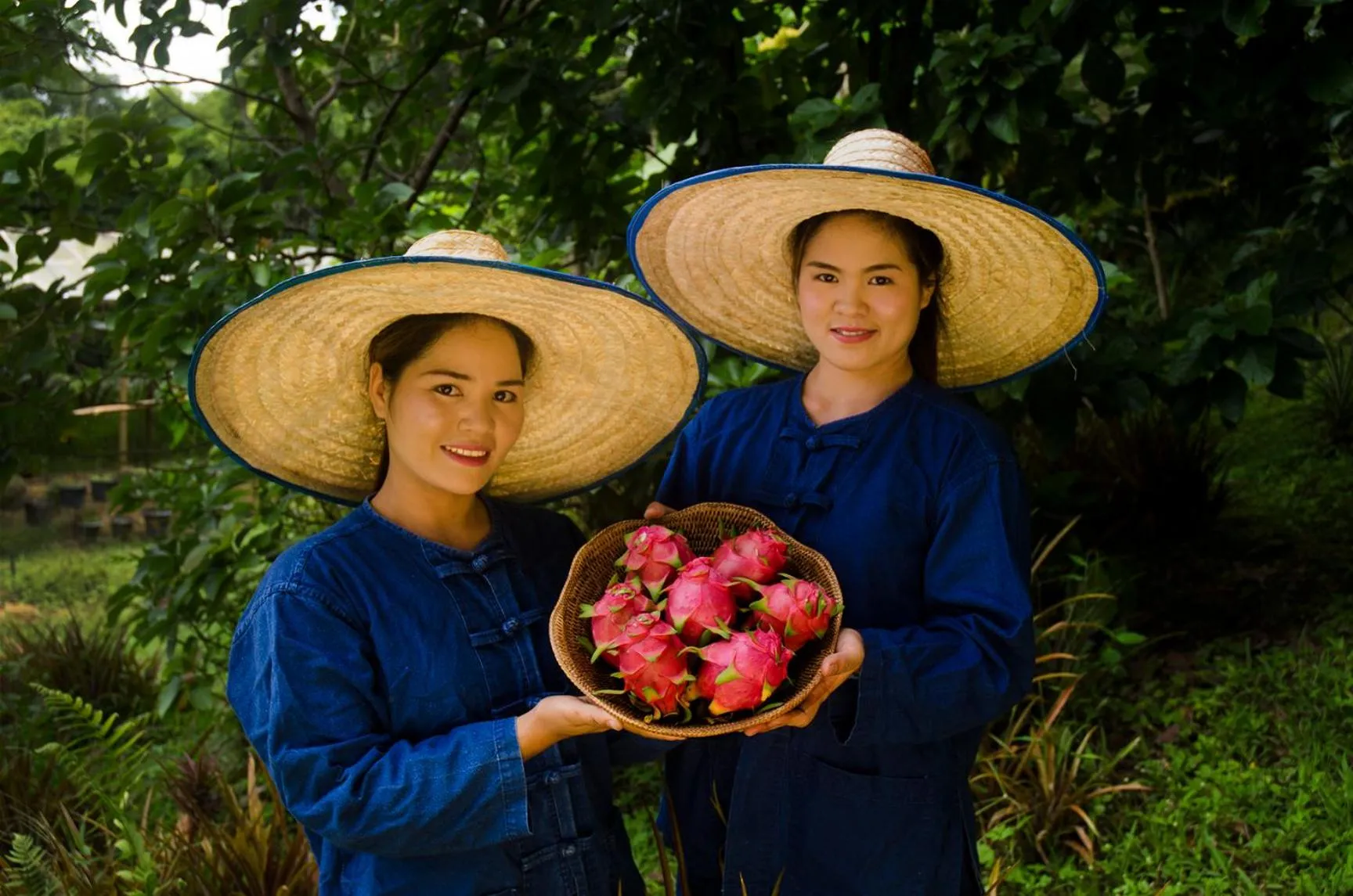 Food and drinks in Pa Sak Tong