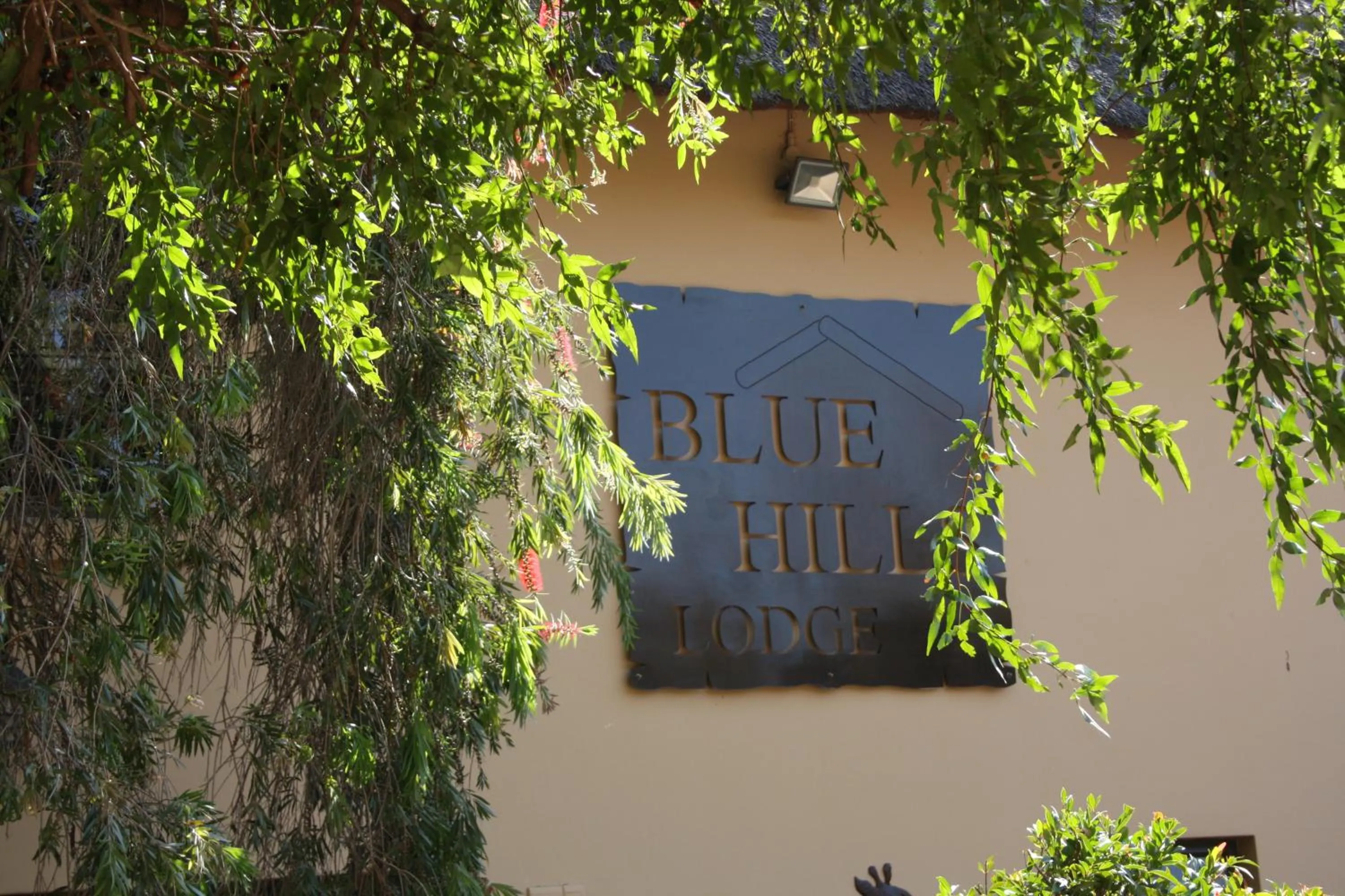 Facade/entrance in Blue Hills Lodge