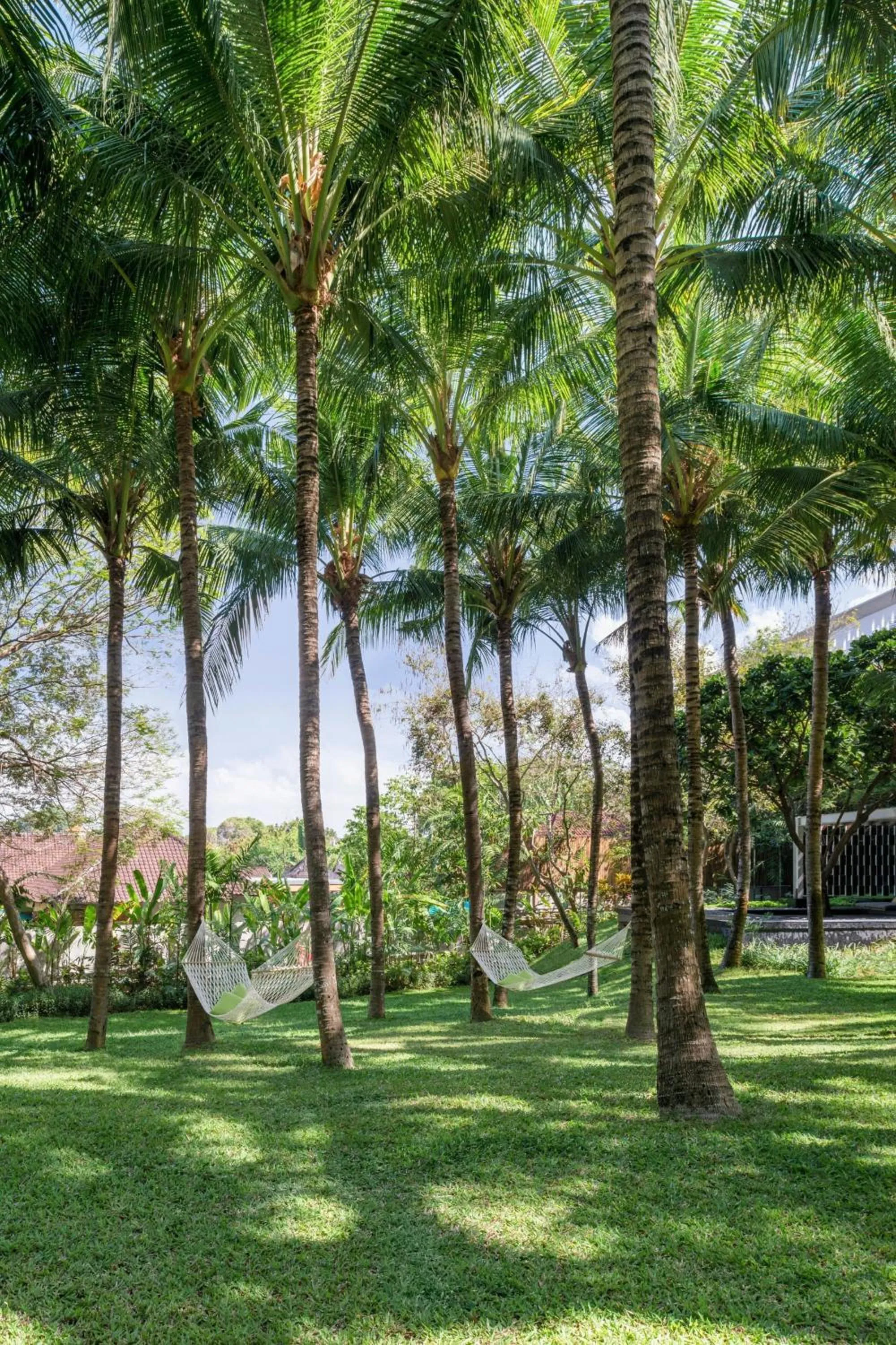 Photo of the whole room in W Bali - Seminyak