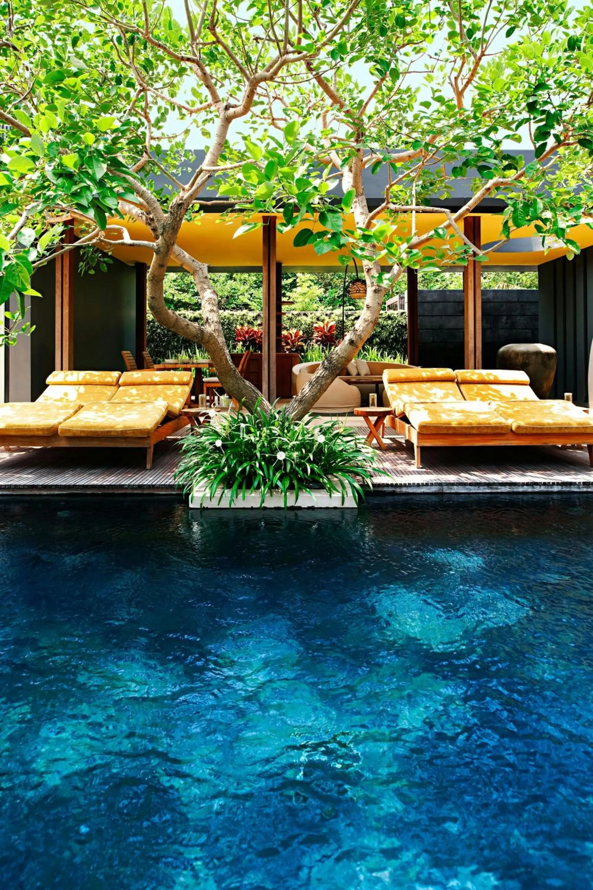 Swimming pool in W Bali - Seminyak