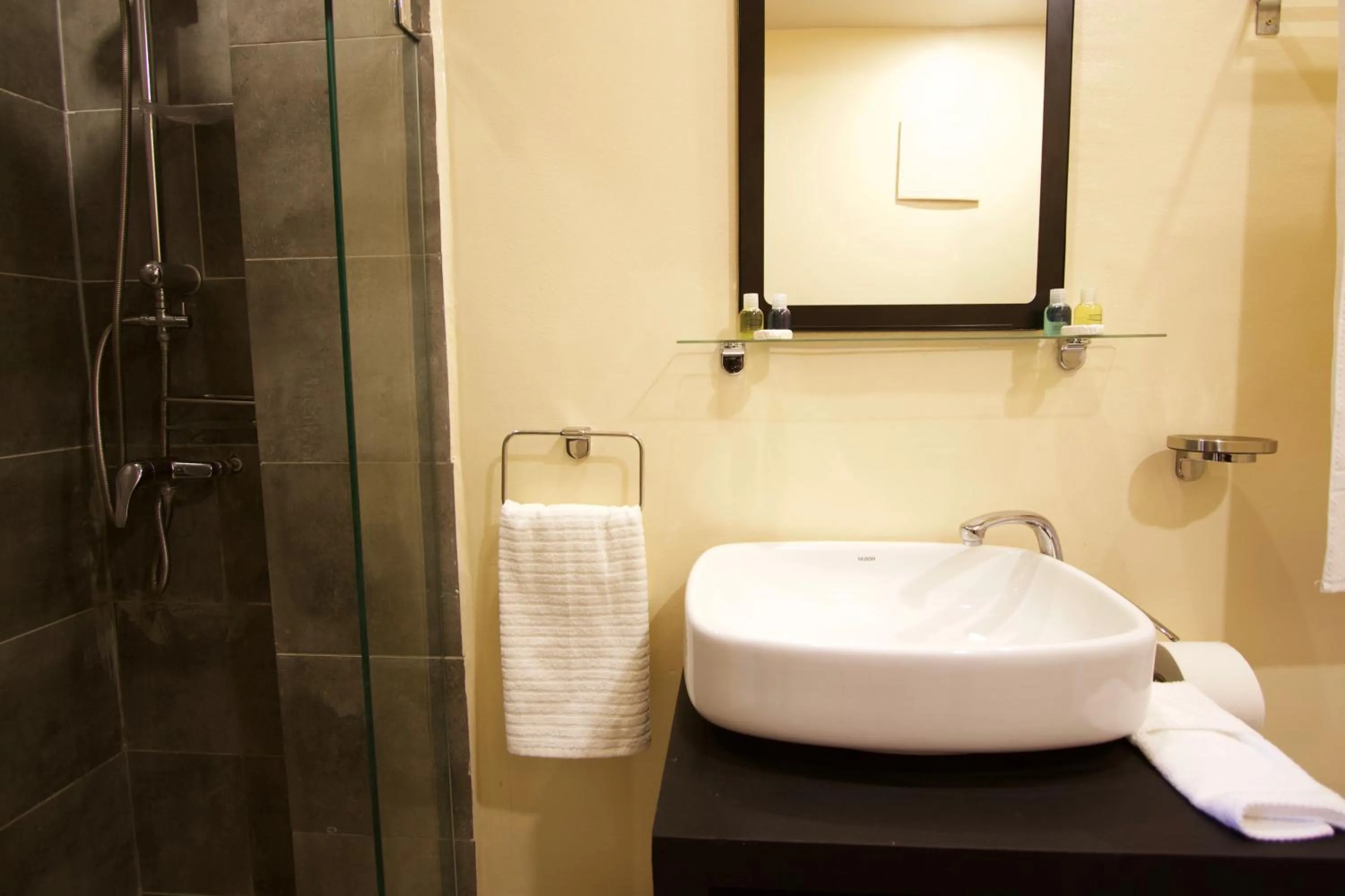 Shower in Suite Loc Suite & Spa