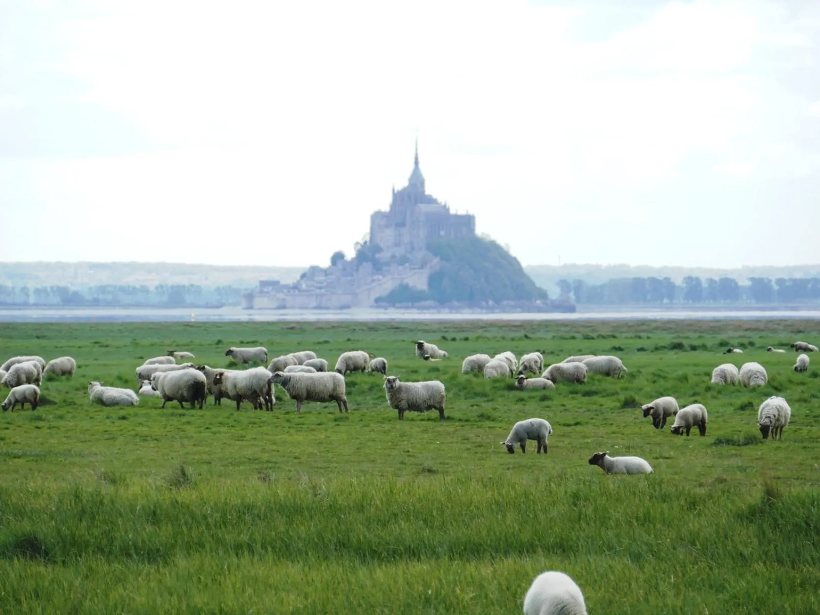 Nearby landmark in Les Vieilles Digues