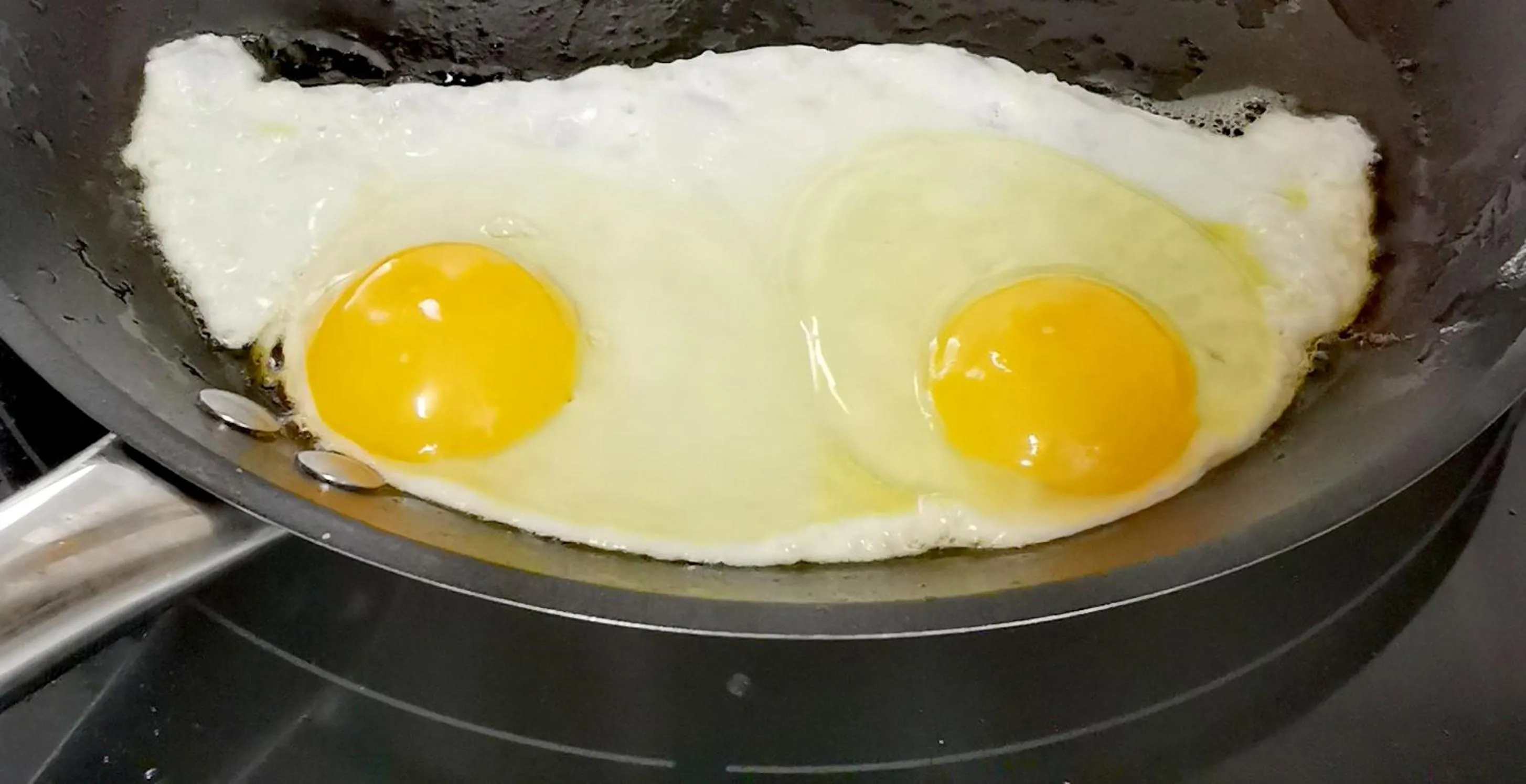 Restaurant/places to eat in Hôtel Rose des Vents