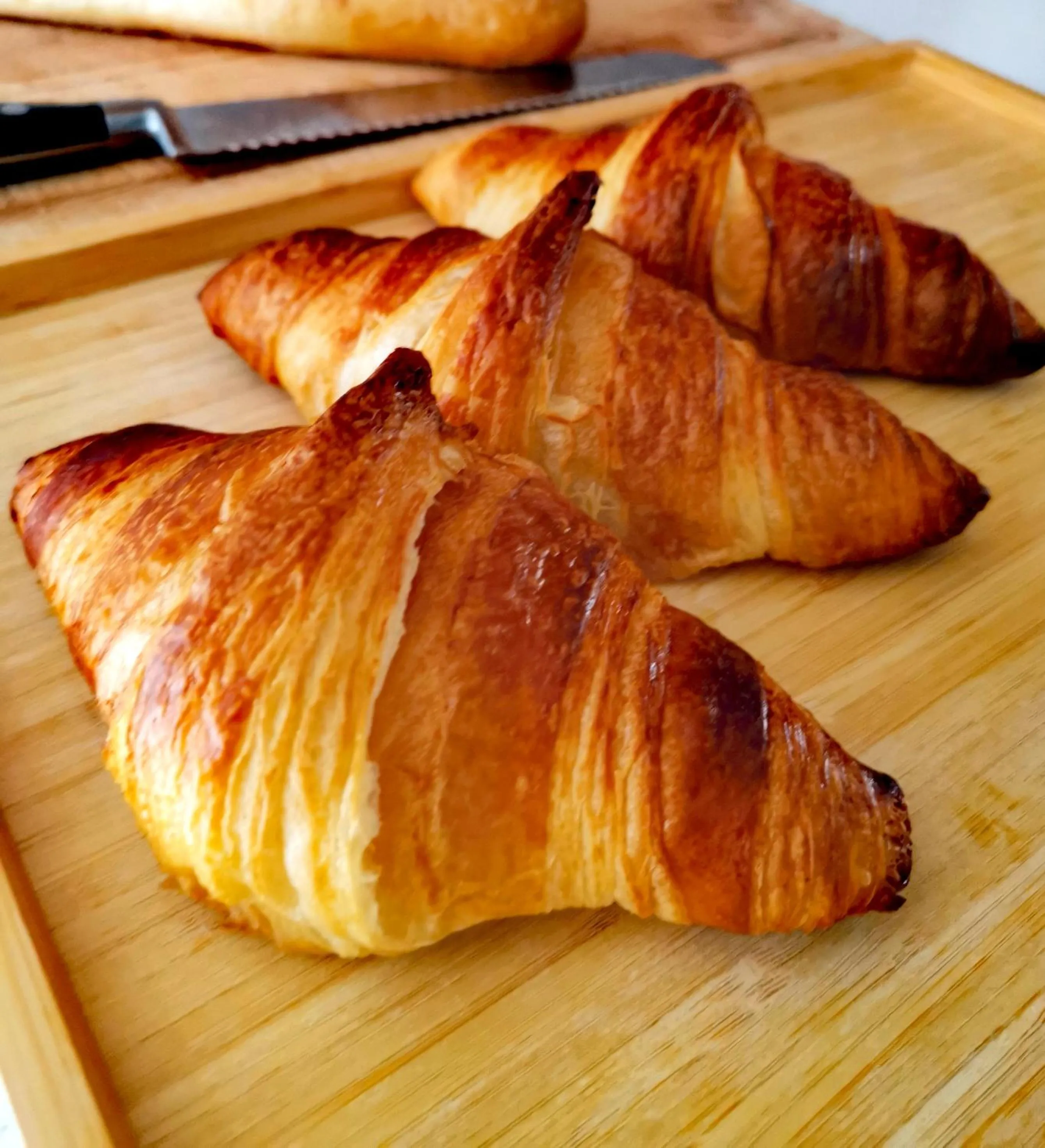 Restaurant/places to eat in Hôtel Rose des Vents