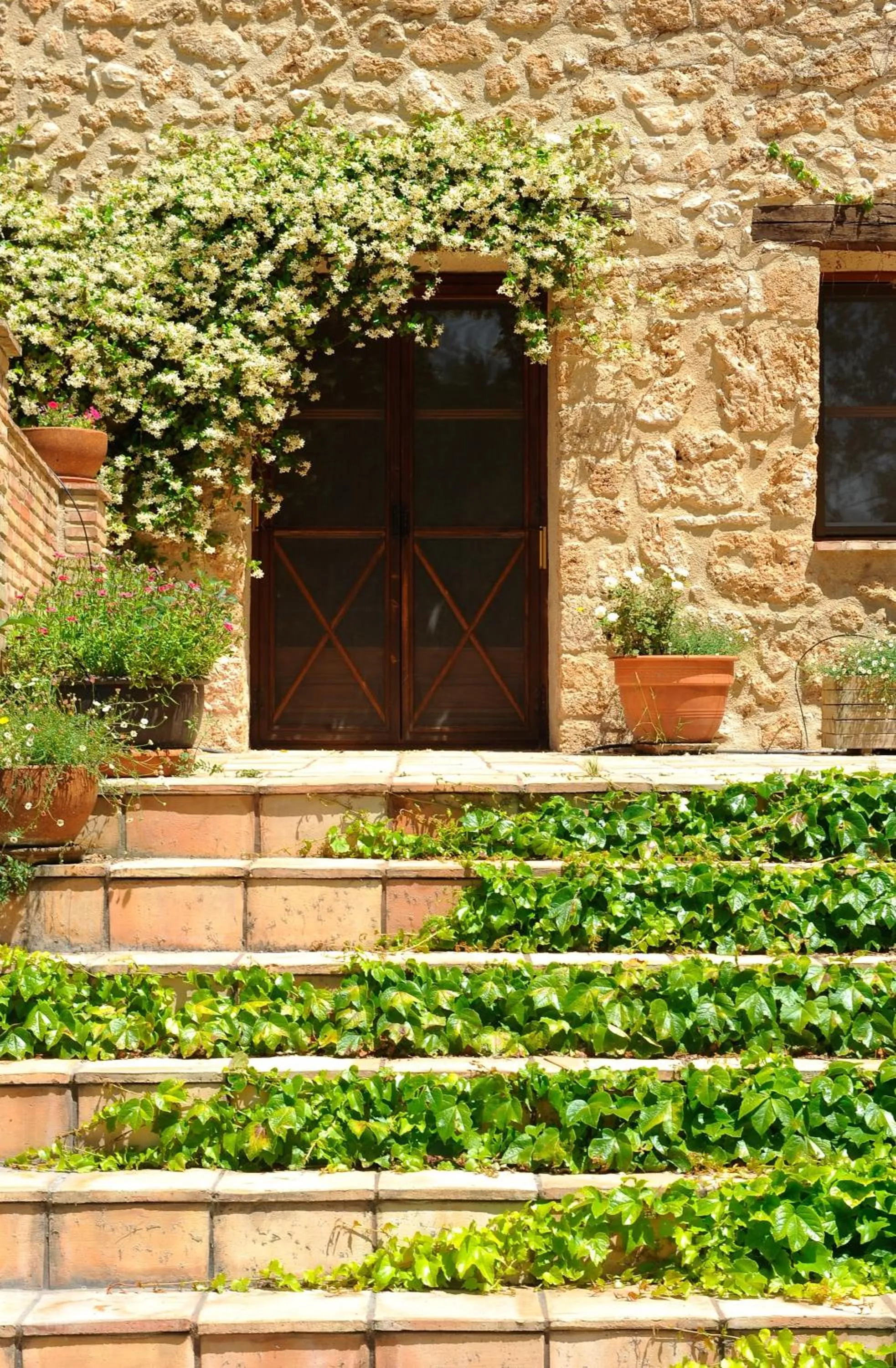 Facade/entrance in Font del Pas