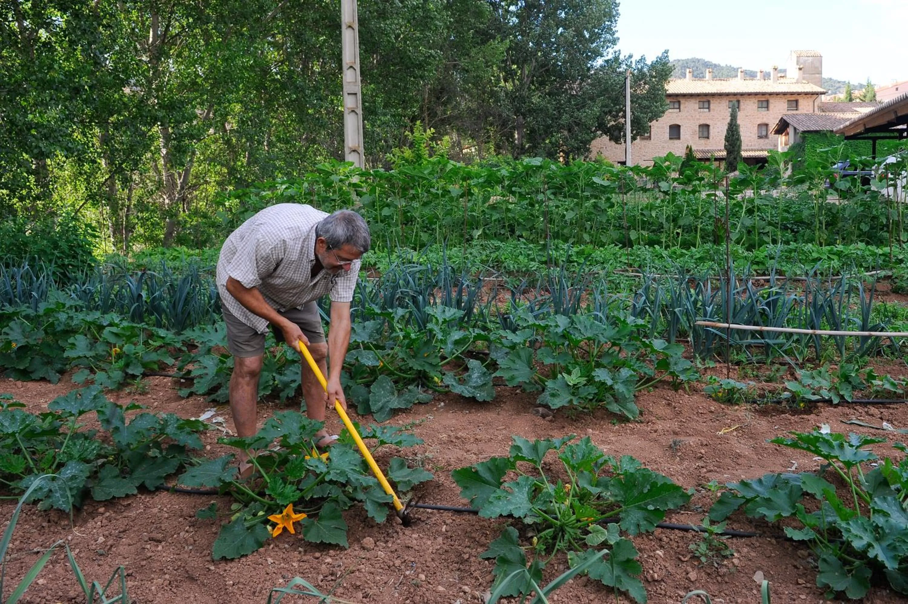 Other in Font del Pas