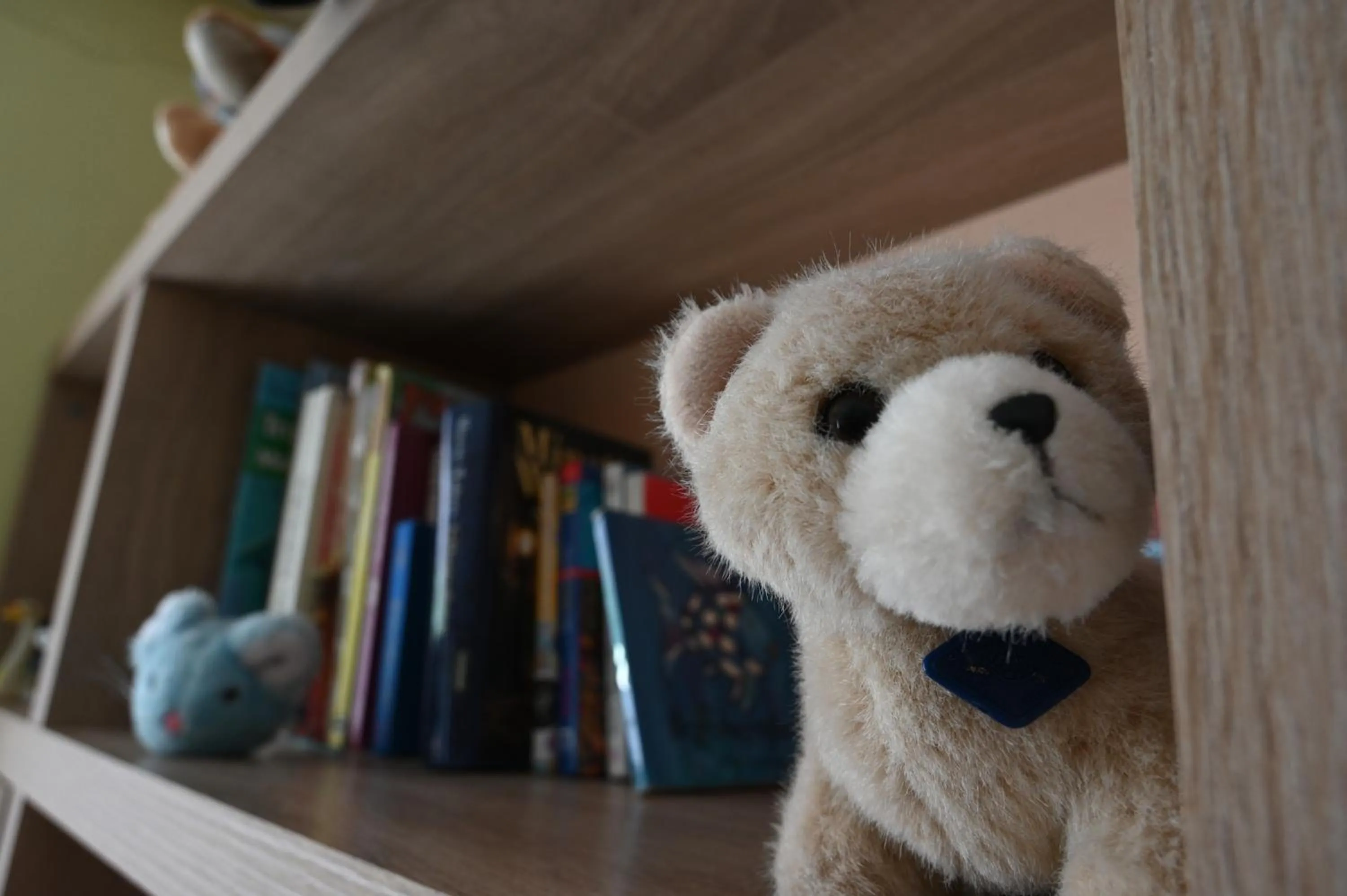 Children play ground in Naturhotel Haller