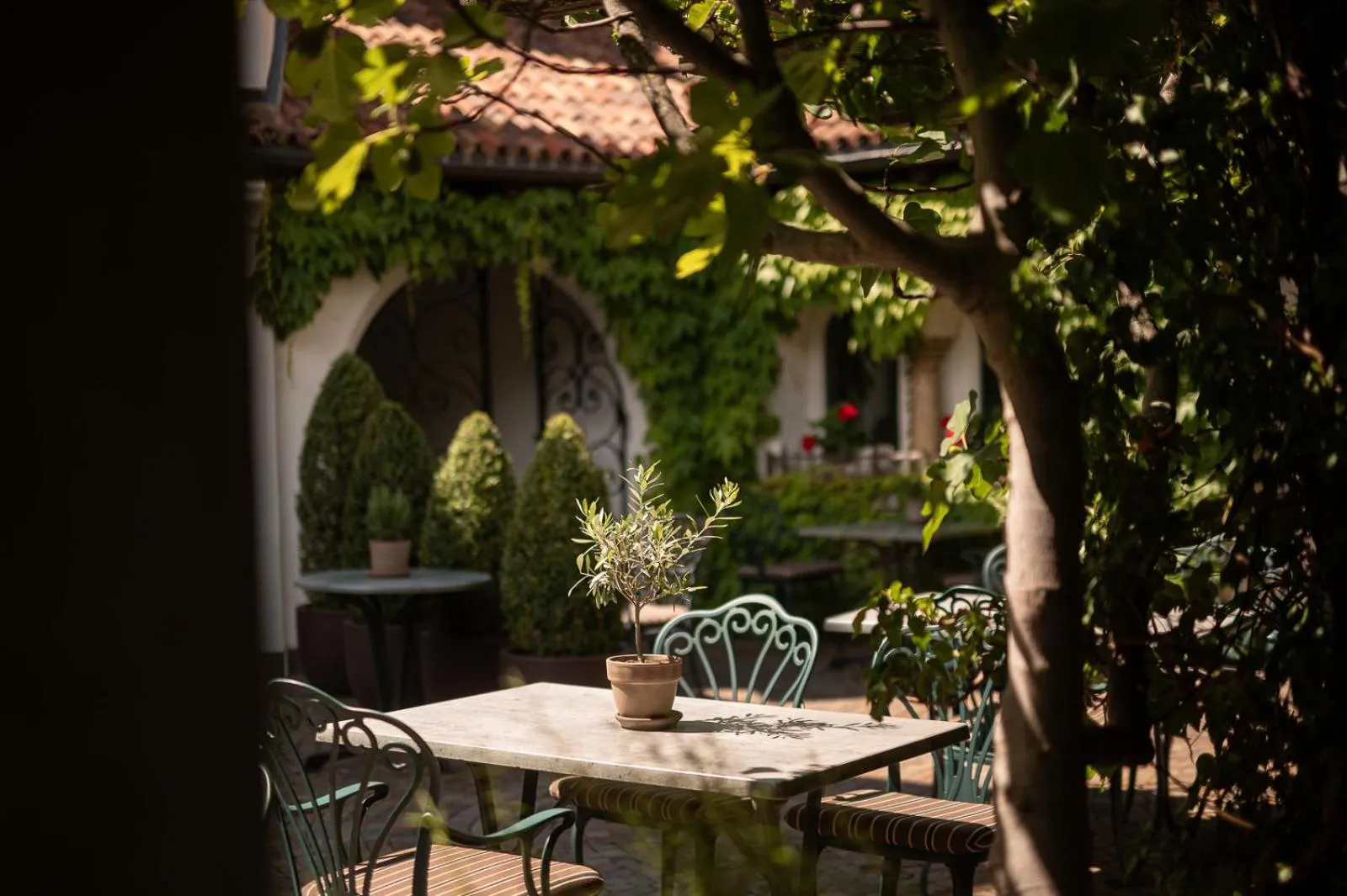 Restaurant/places to eat in Vitalpina Hotel Schulerhof