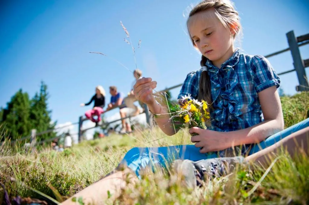 Natural landscape in Wirtshaushotel Alpenrose