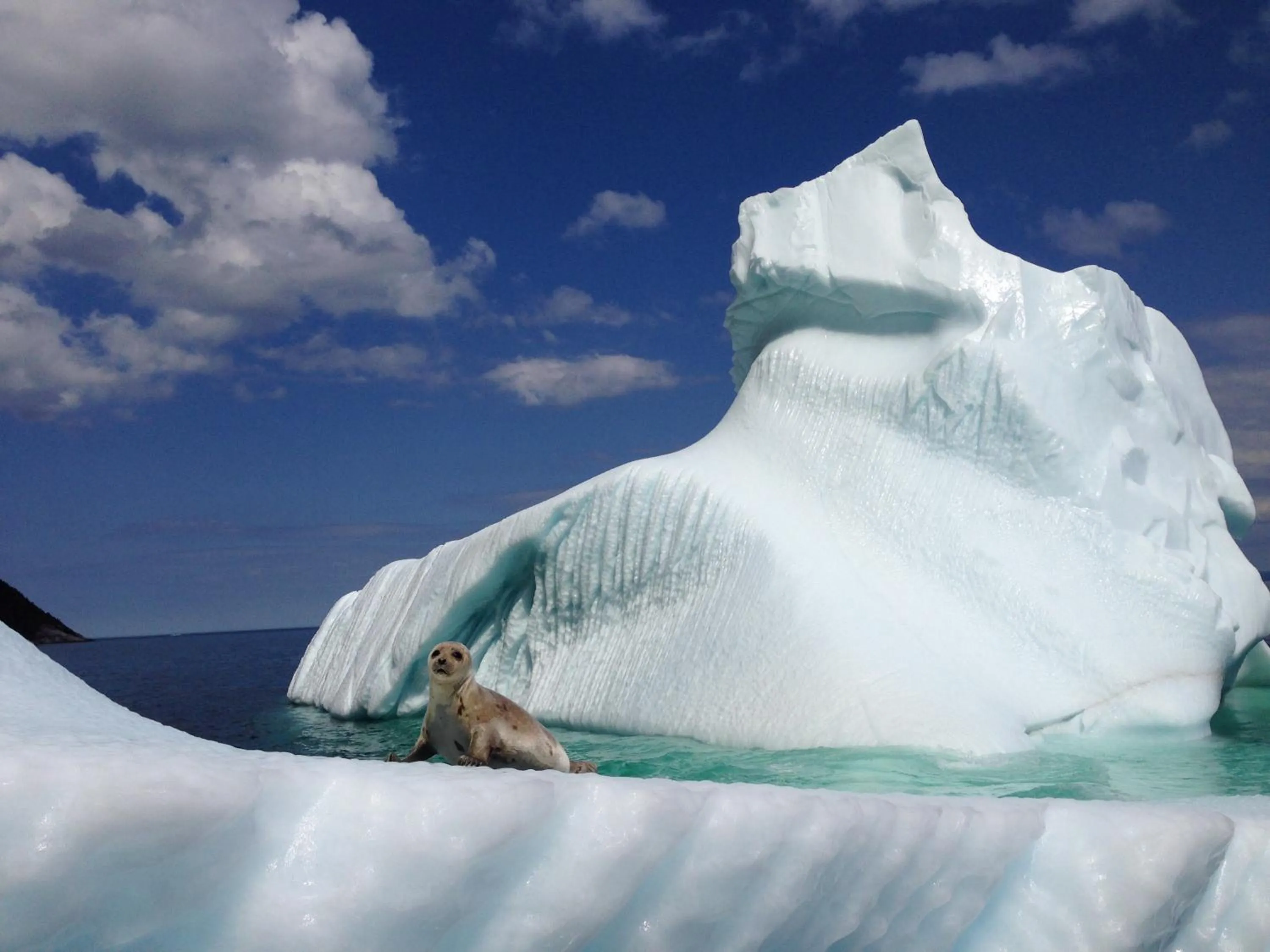 Raleigh Rooms & Taylor's Crafts