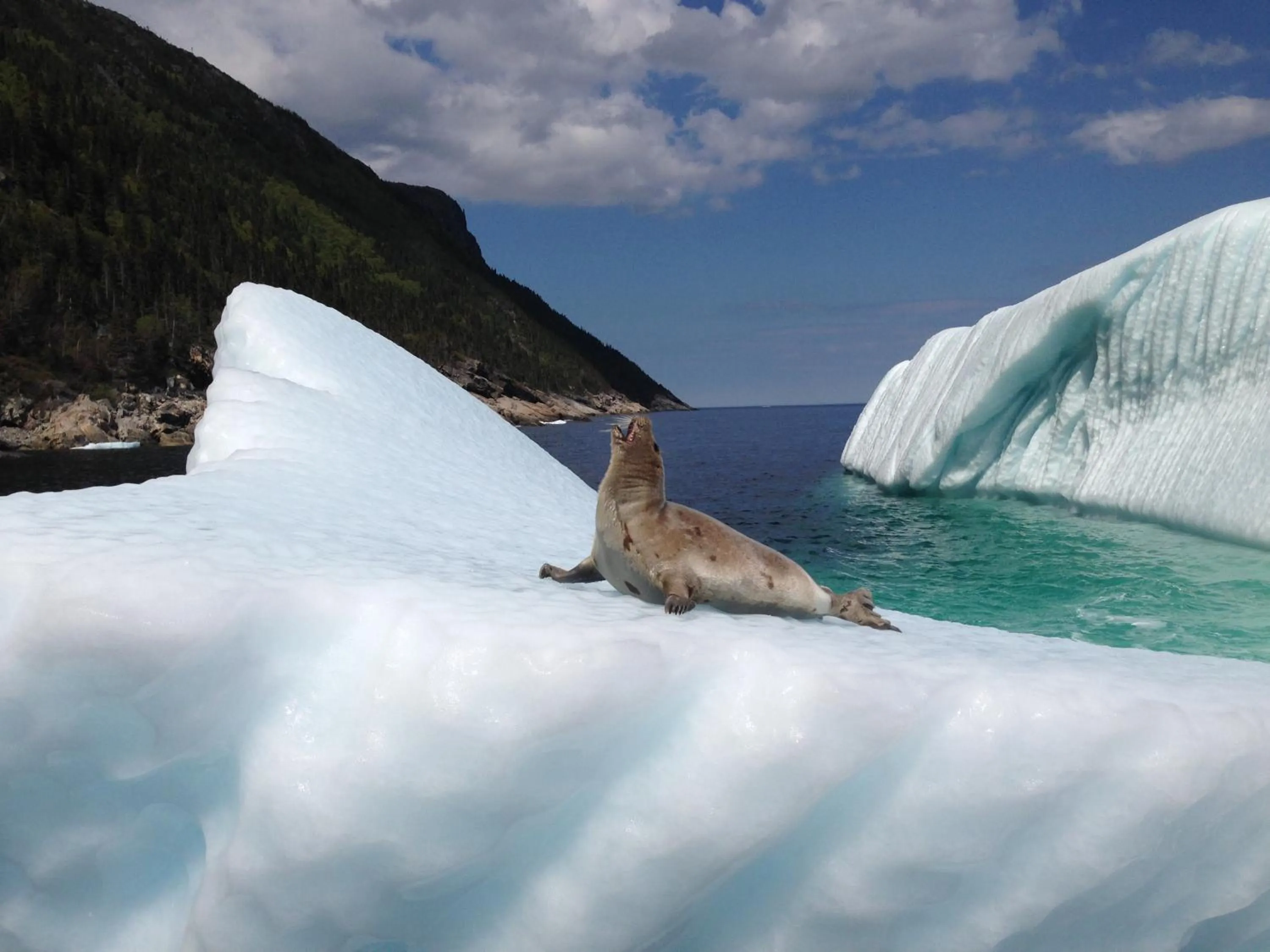 Raleigh Rooms & Taylor's Crafts