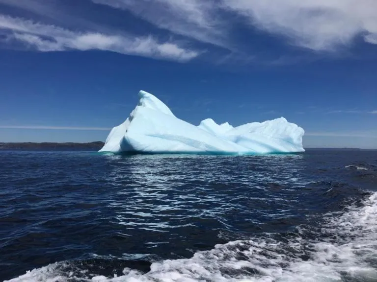 Natural landscape in Raleigh Rooms & Taylor's Crafts