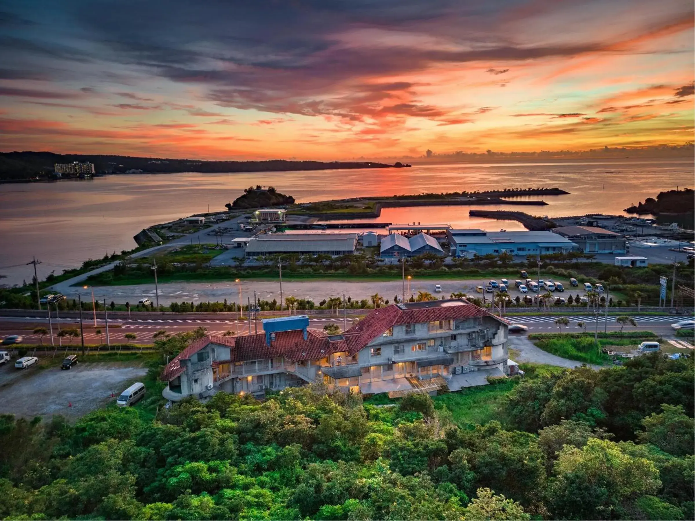 Buzz Resort Buzz Resort