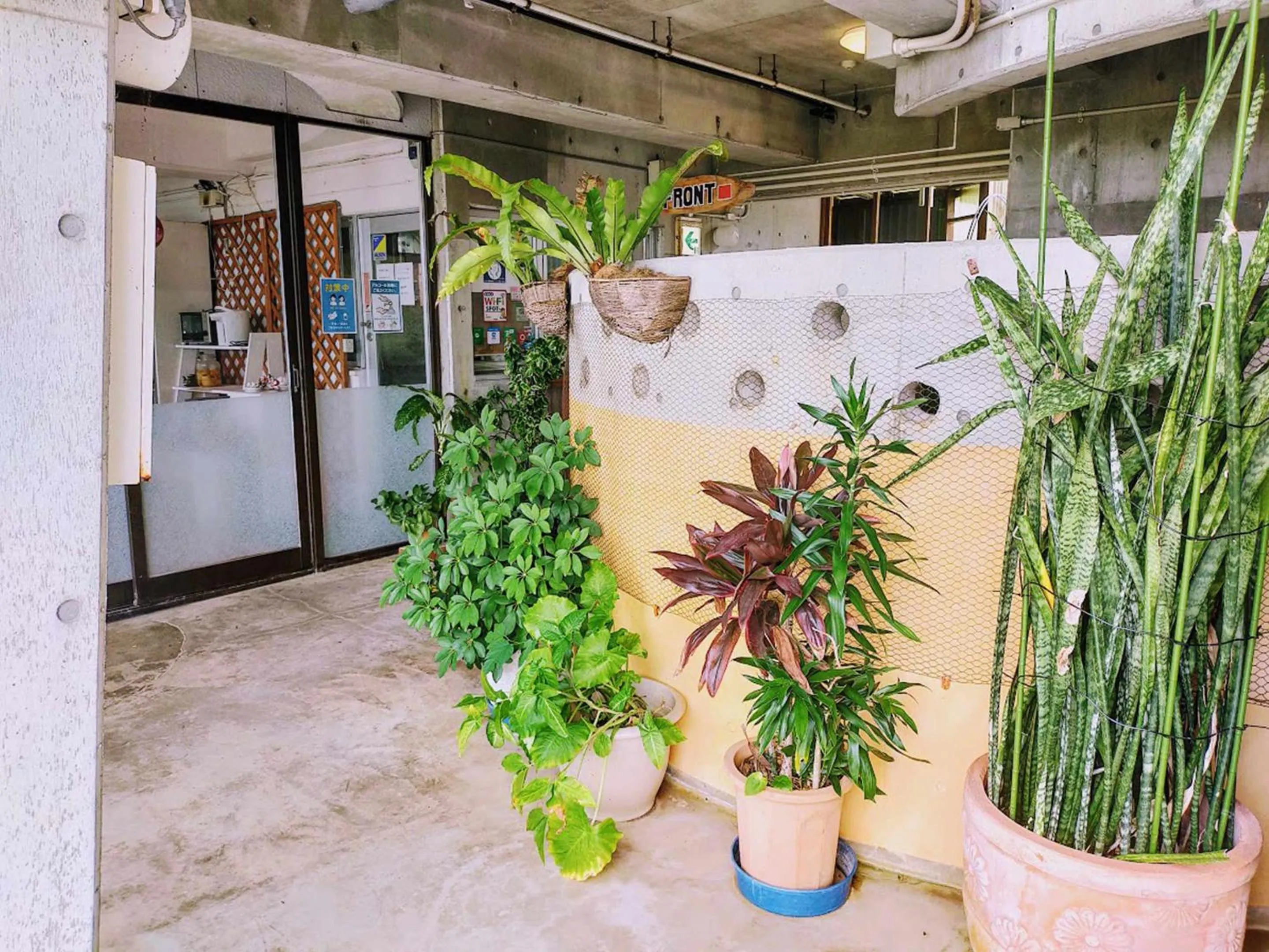 Lobby or reception in Buzz Resort