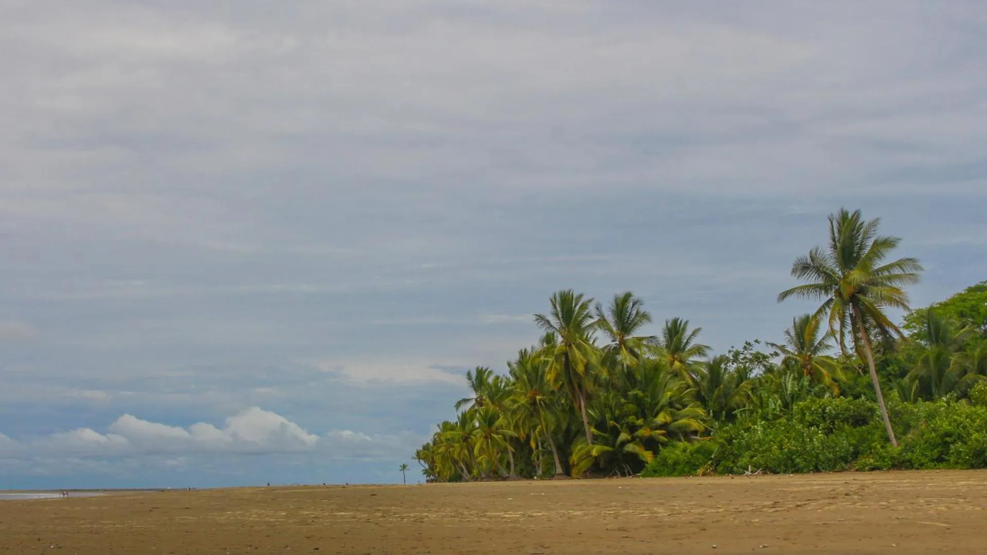 Natural landscape in Bungalows Ballena