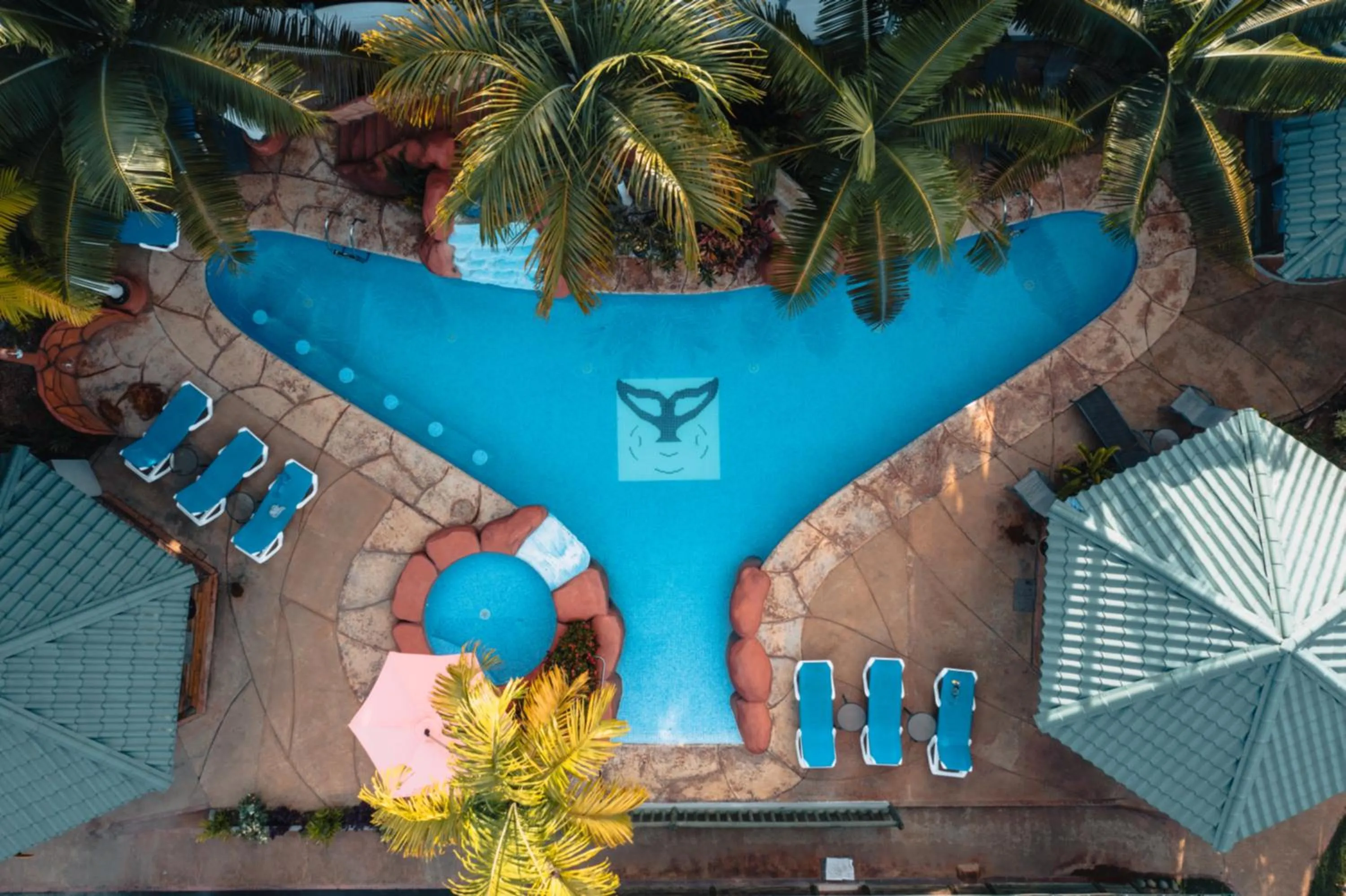 Pool view in Bungalows Ballena