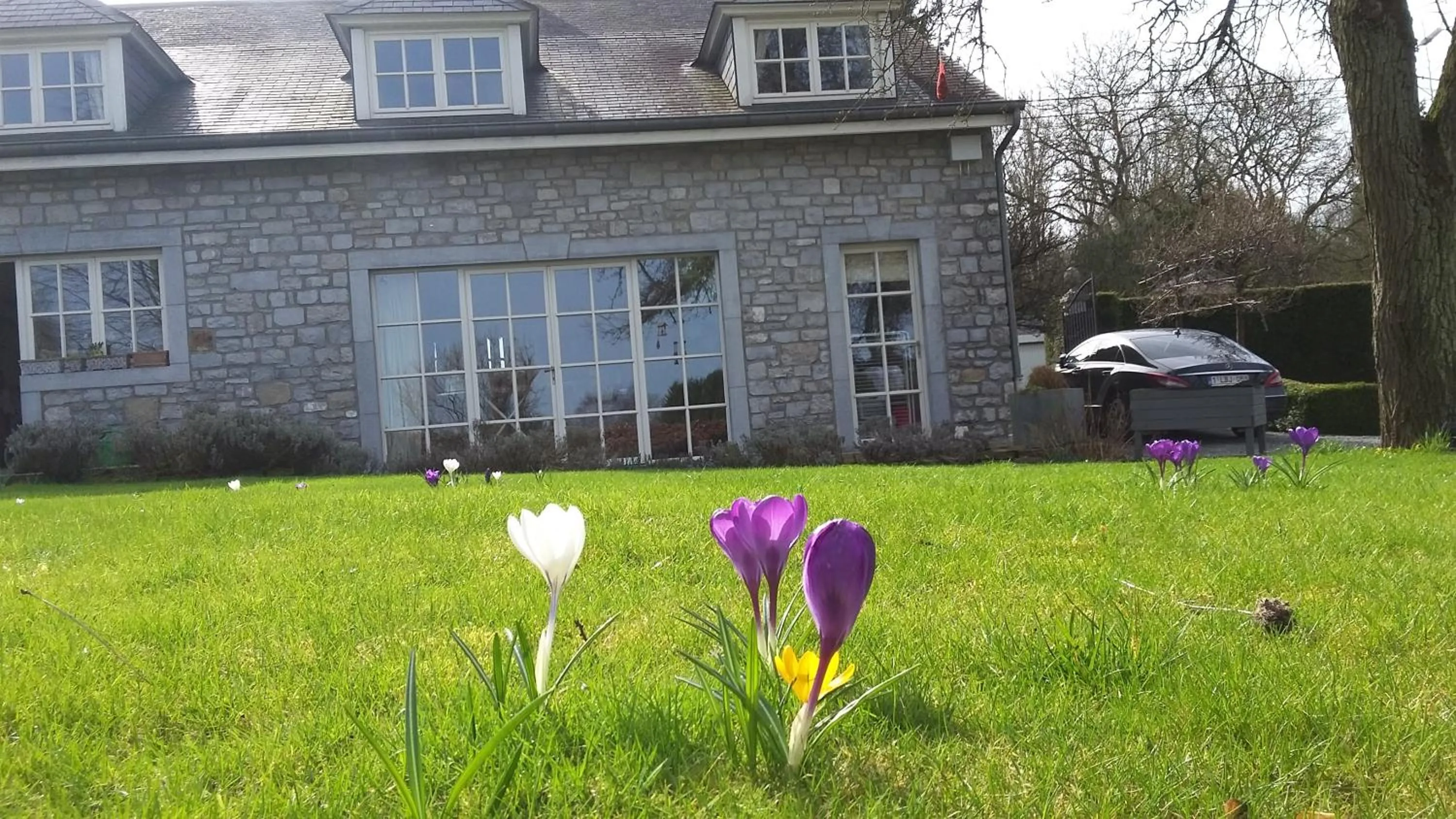Garden view in B&B La Buissonniere