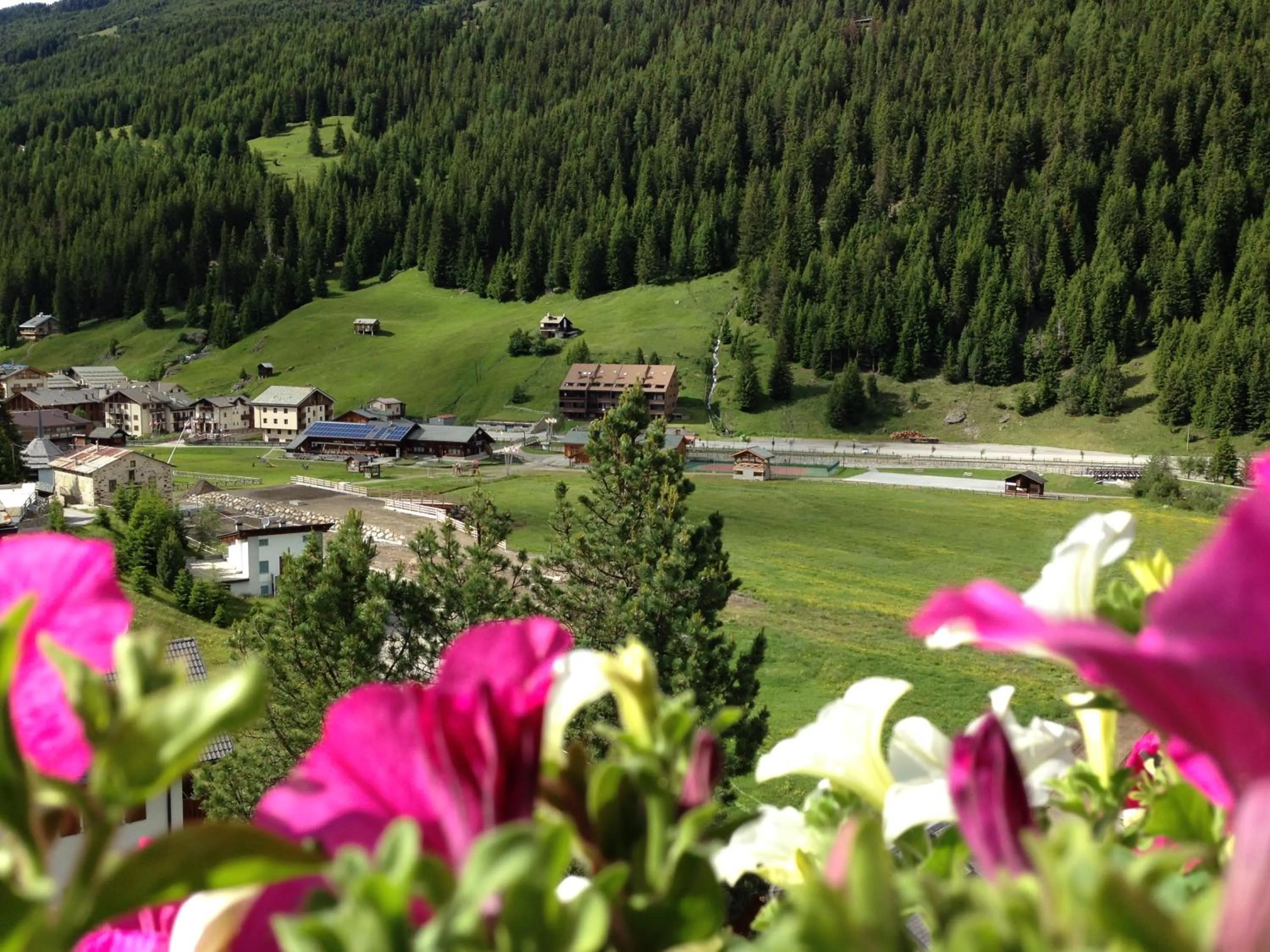 View (from property/room) in Chalet Bucaneve