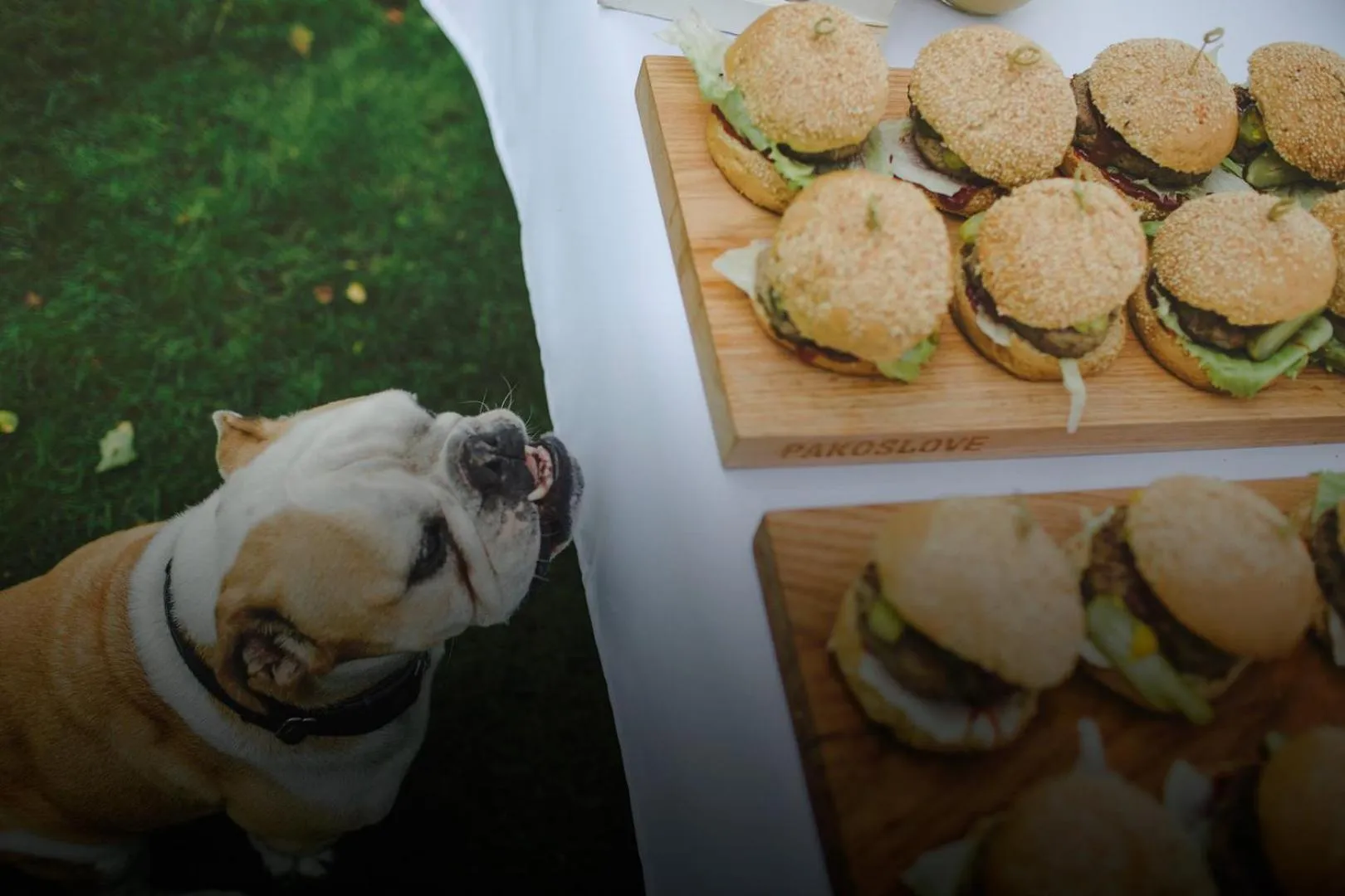 Food and drinks in Pałac Pakosław