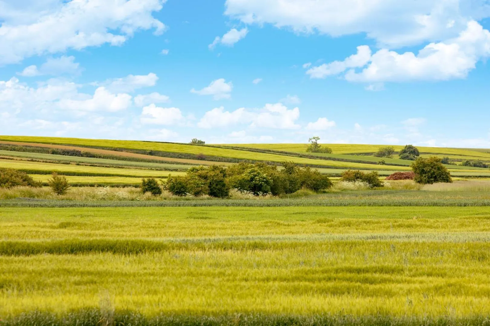 Hiking in Pałac Pakosław