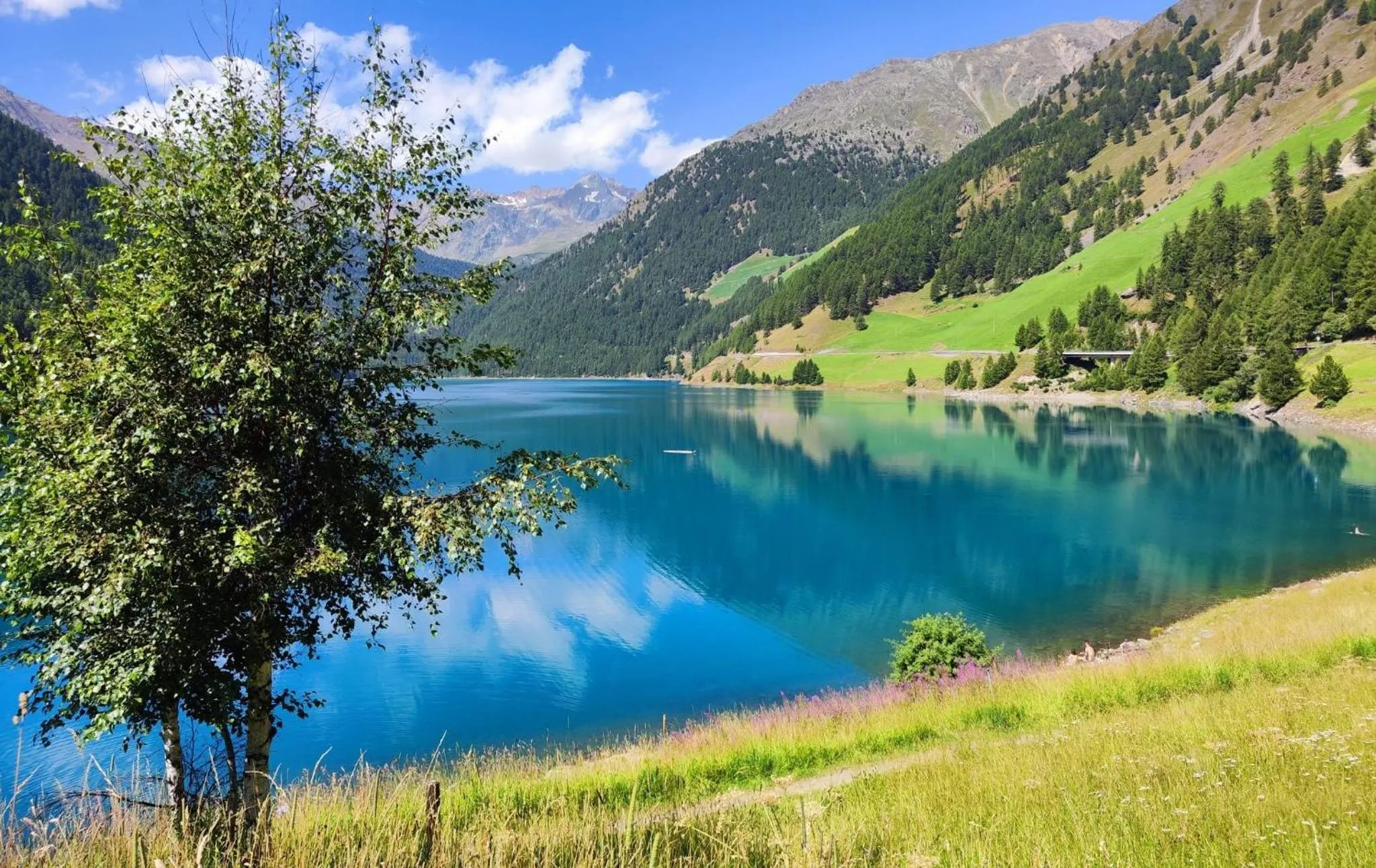 View (from property/room) in Hotel Vernagt