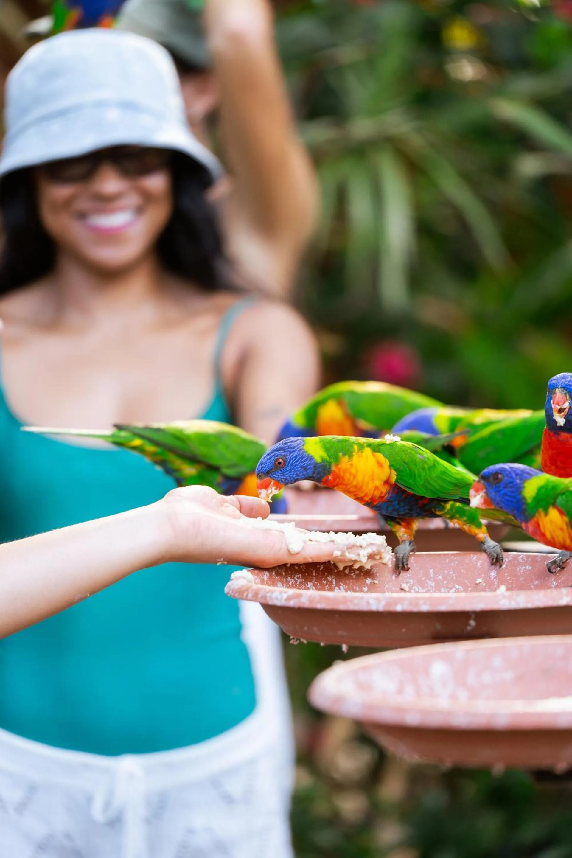 Activities in Tasman Holiday Parks - Airlie Beach