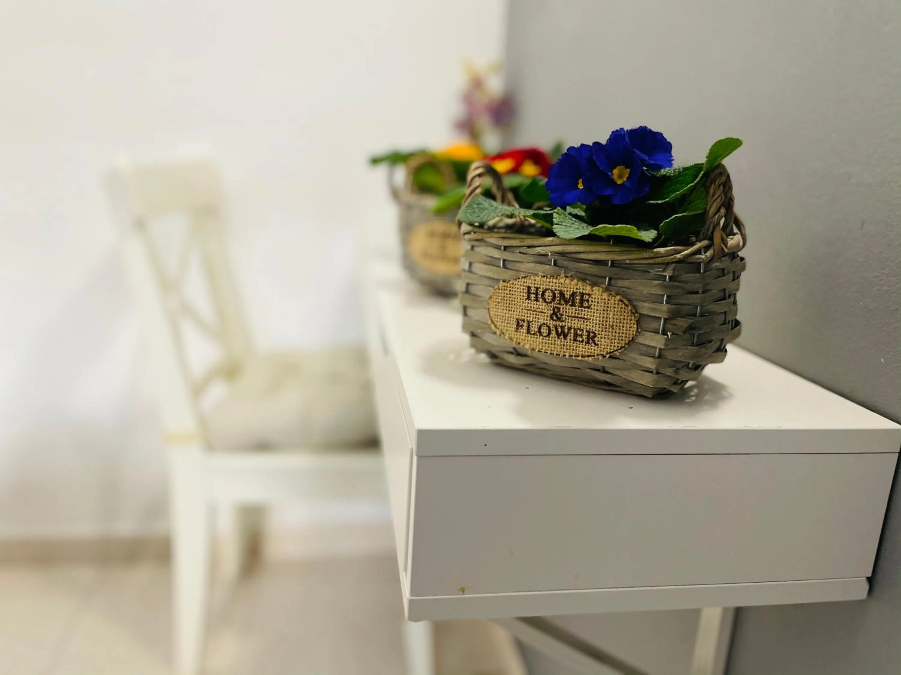 Other in Hostal Lleida