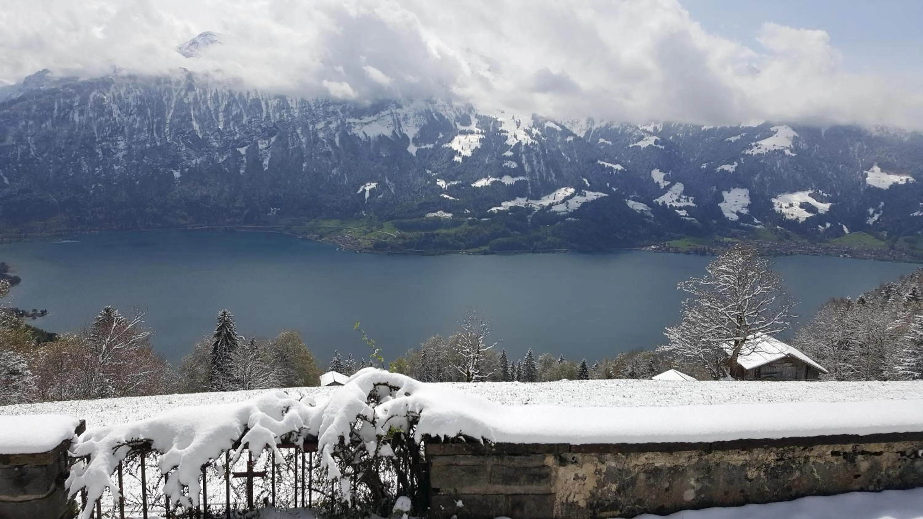 Natural landscape in Hotel Sterne