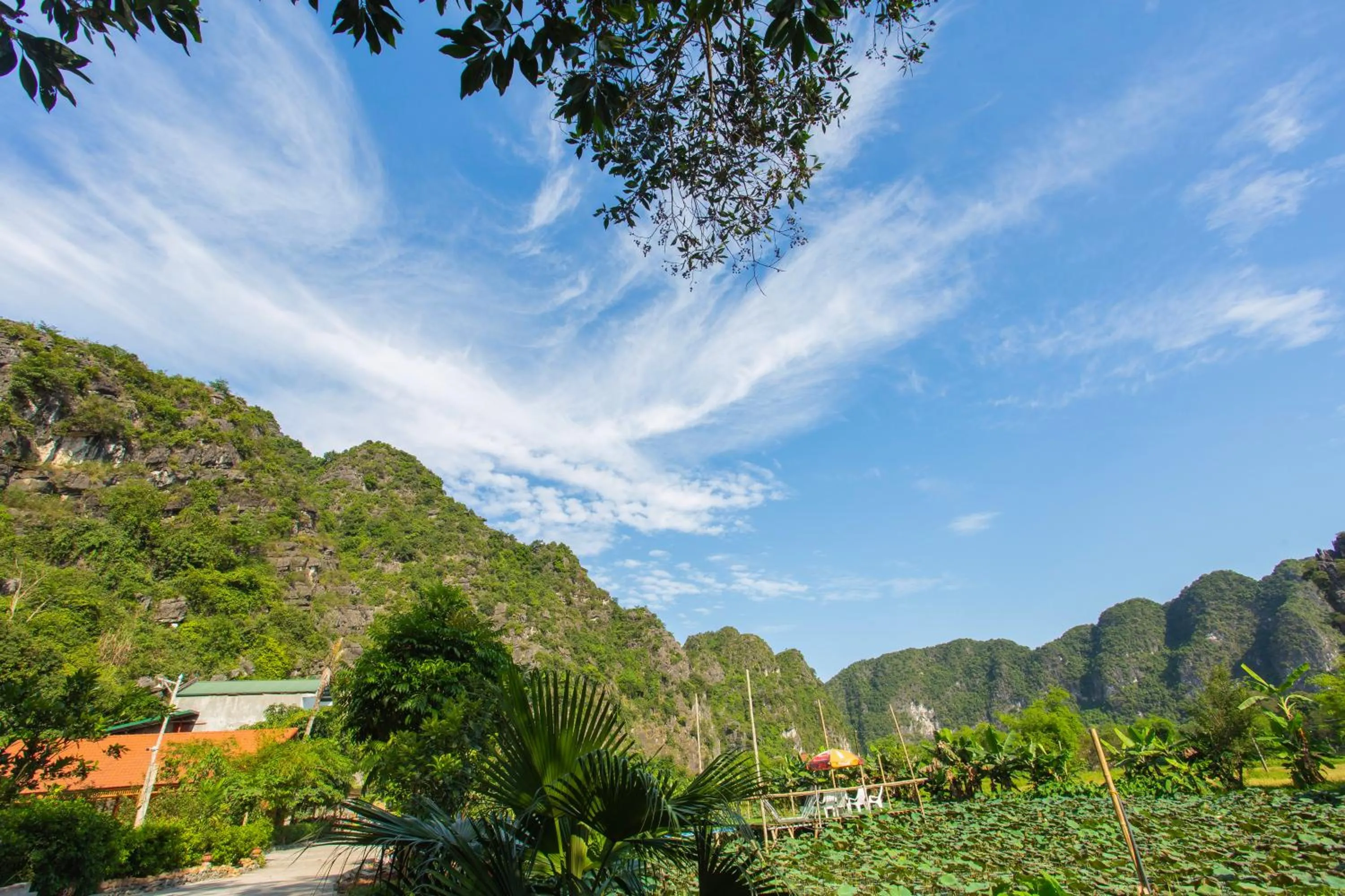 Natural landscape in Green Mountain Homestay