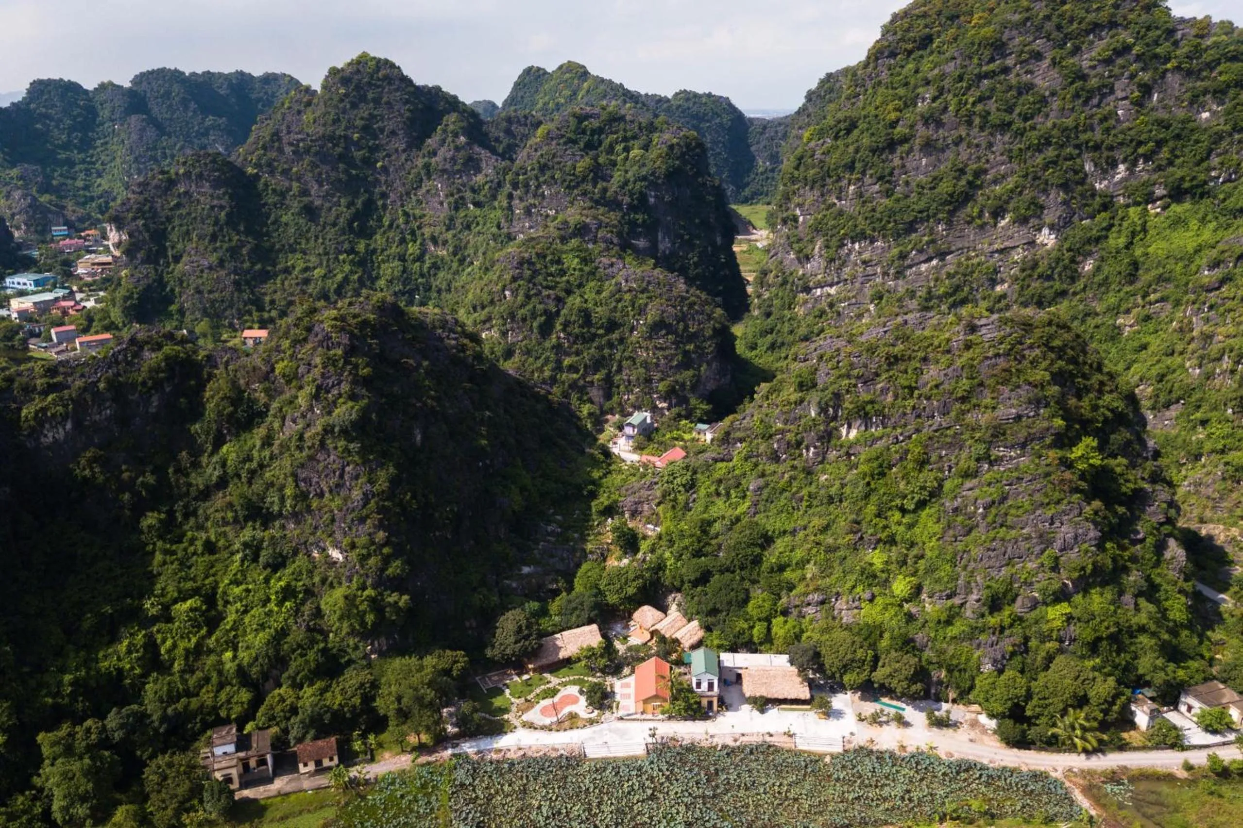 Garden view in Green Mountain Homestay