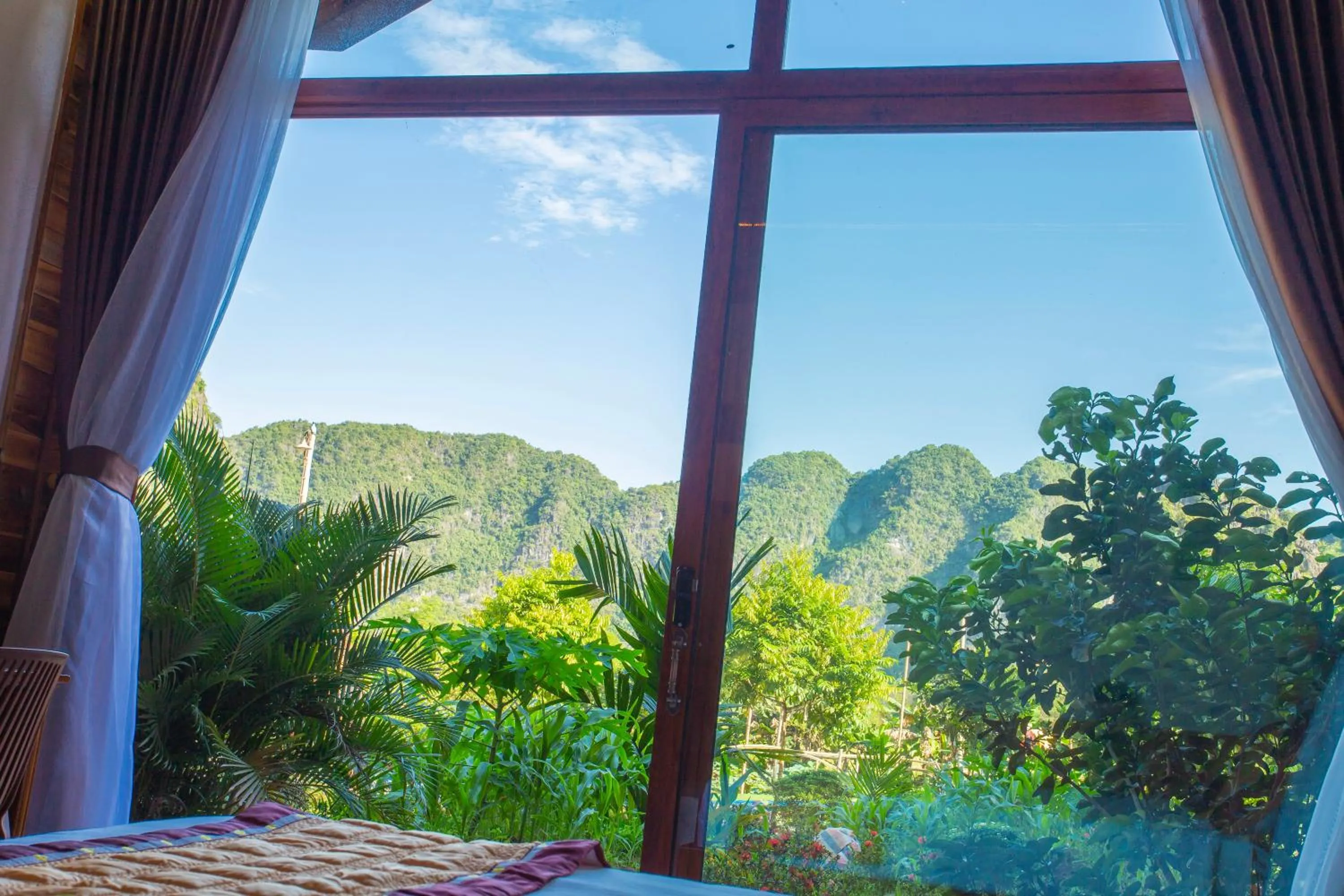 Garden view in Green Mountain Homestay