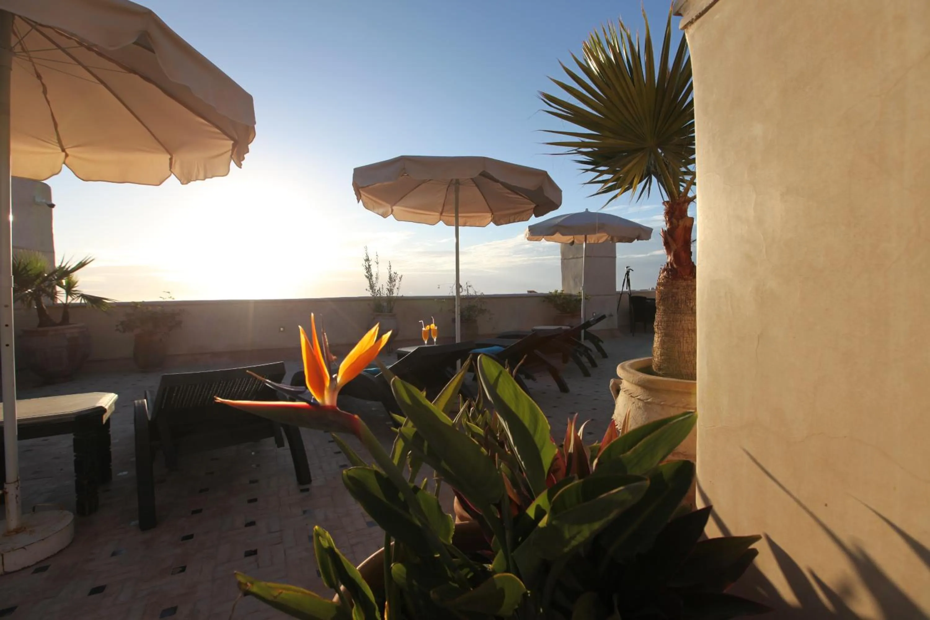 Balcony/Terrace in Riad Dar Haven