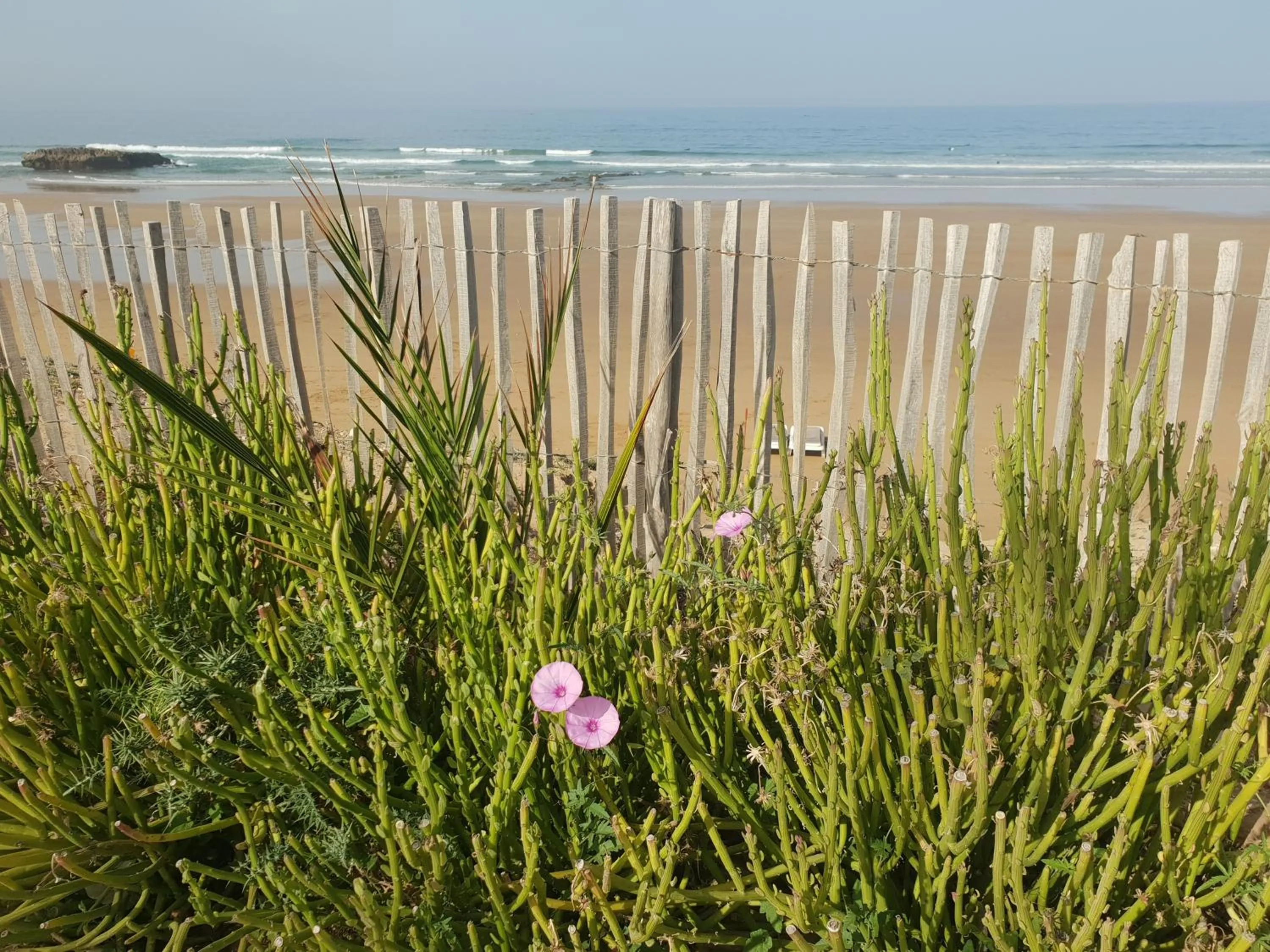 Beach in Riad Dar Haven