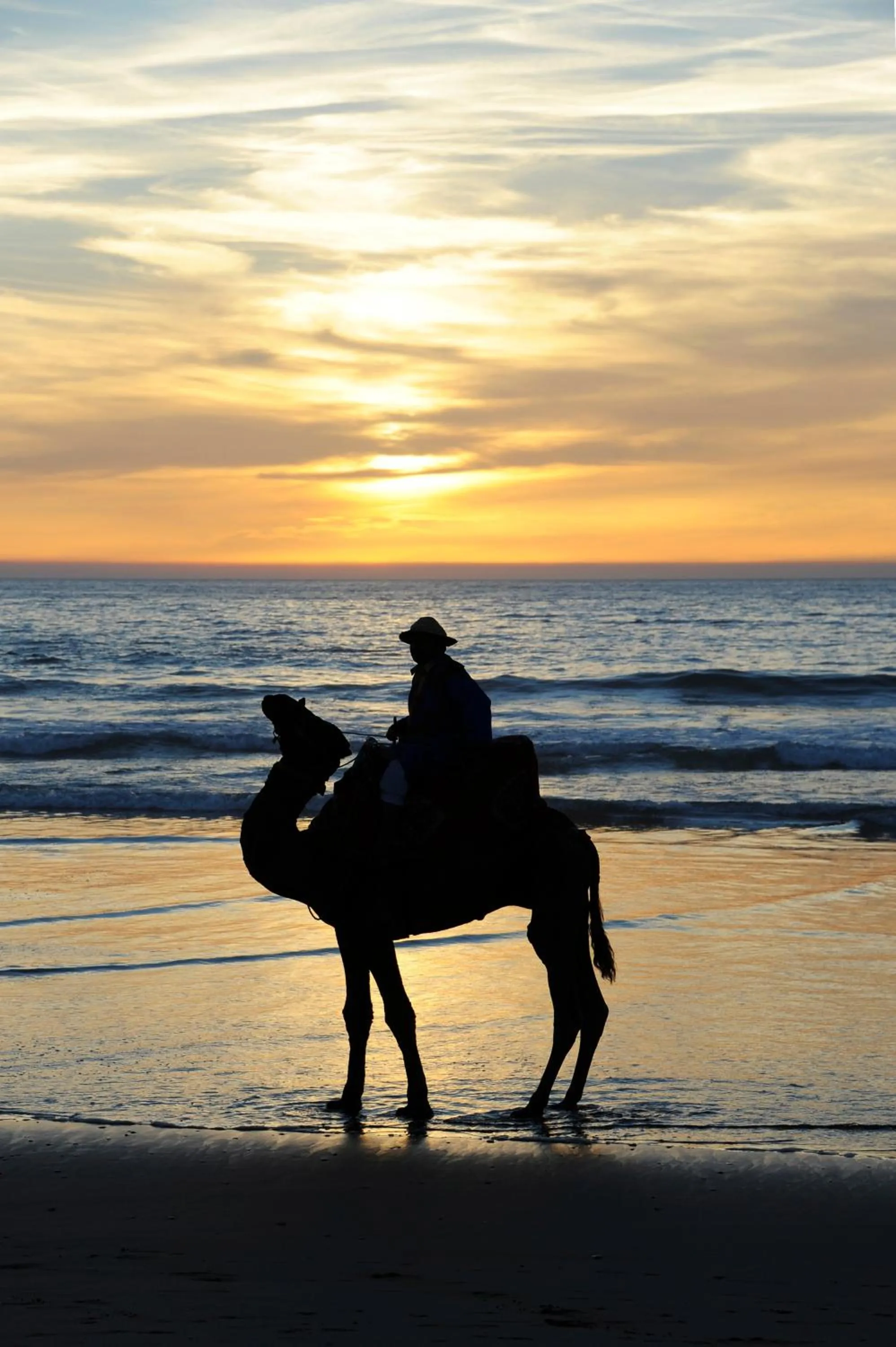 Activities in Riad Dar Haven