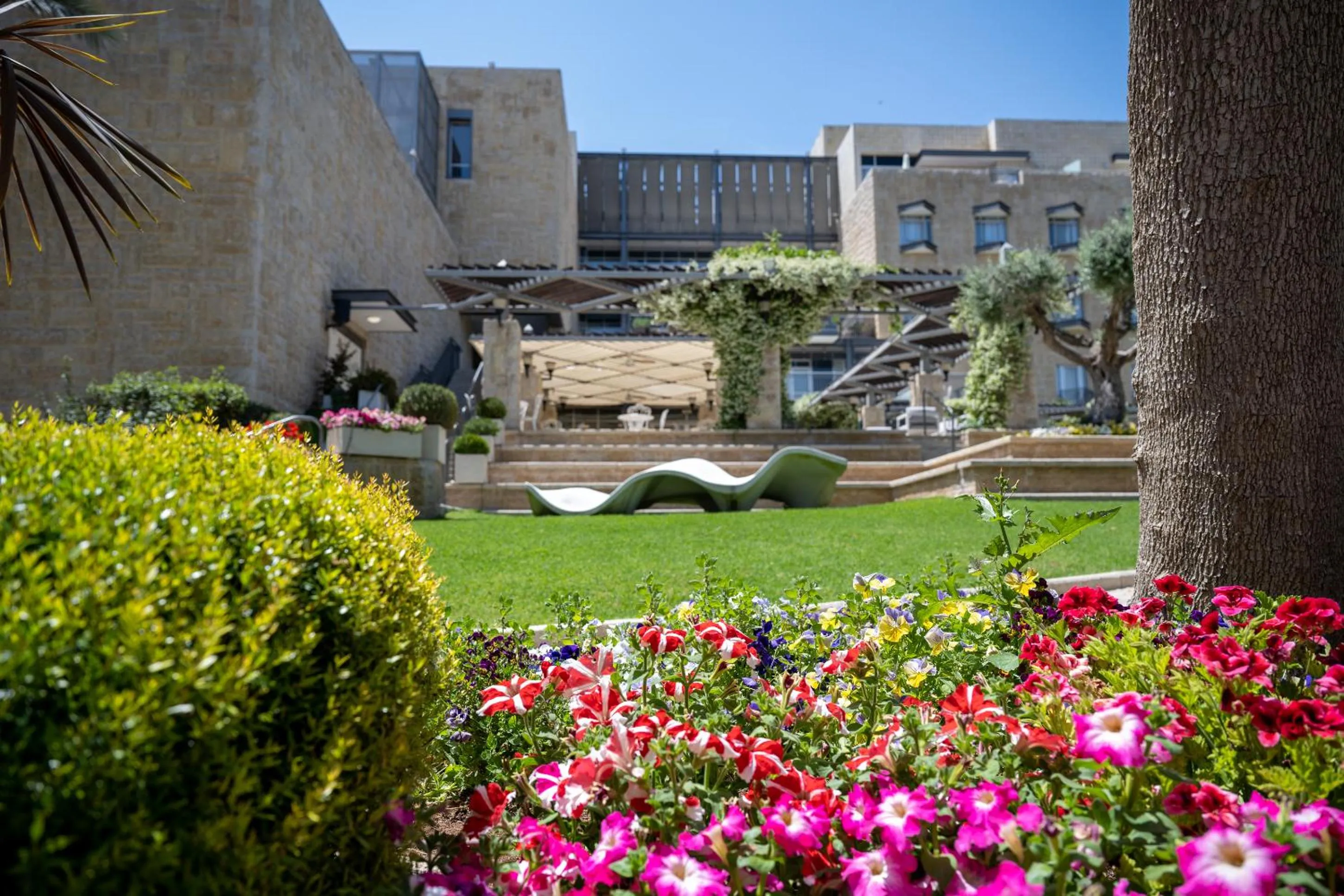 Garden in Hotel Yehuda