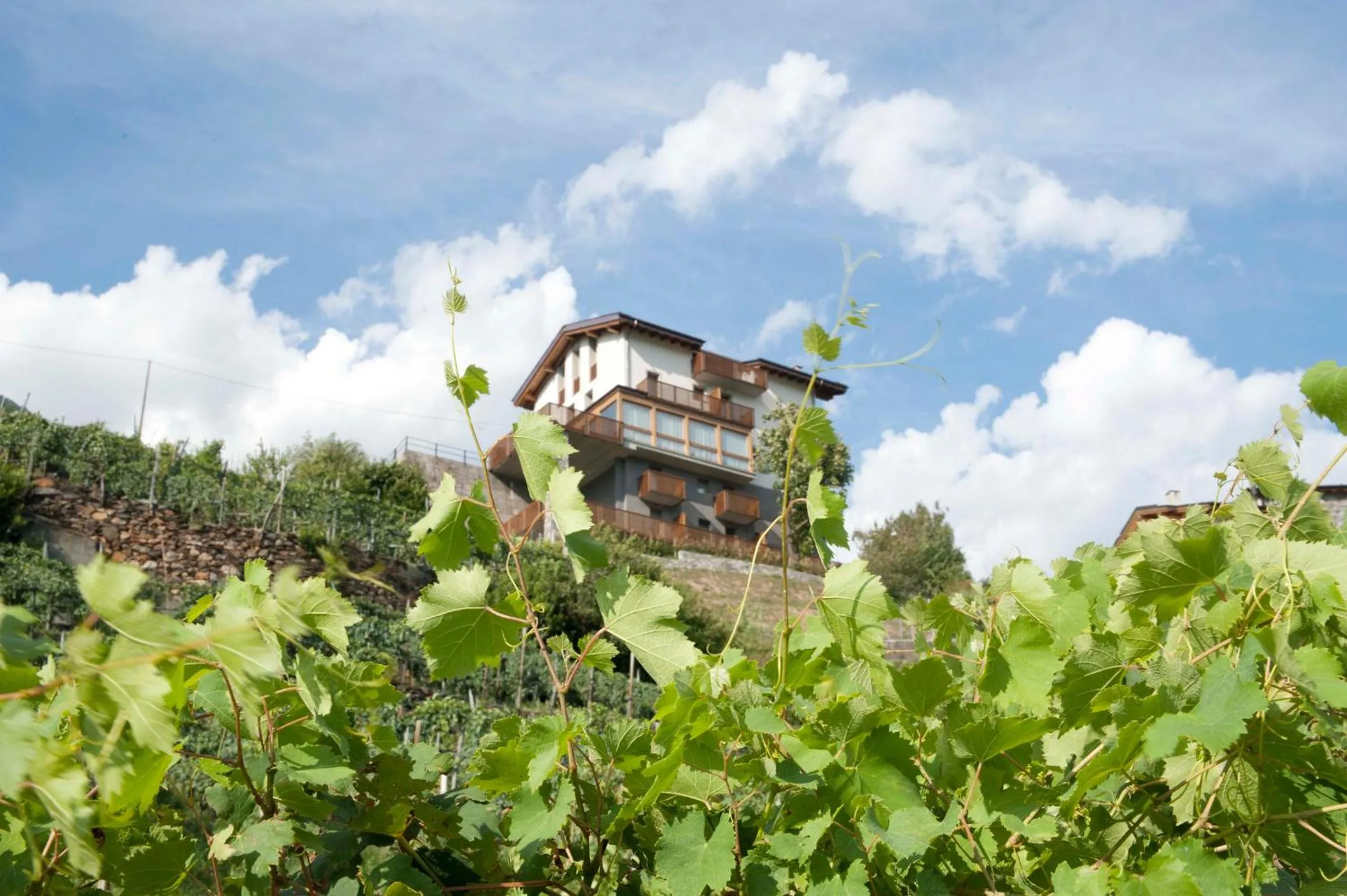 Property building in Wine Hotel Retici Balzi