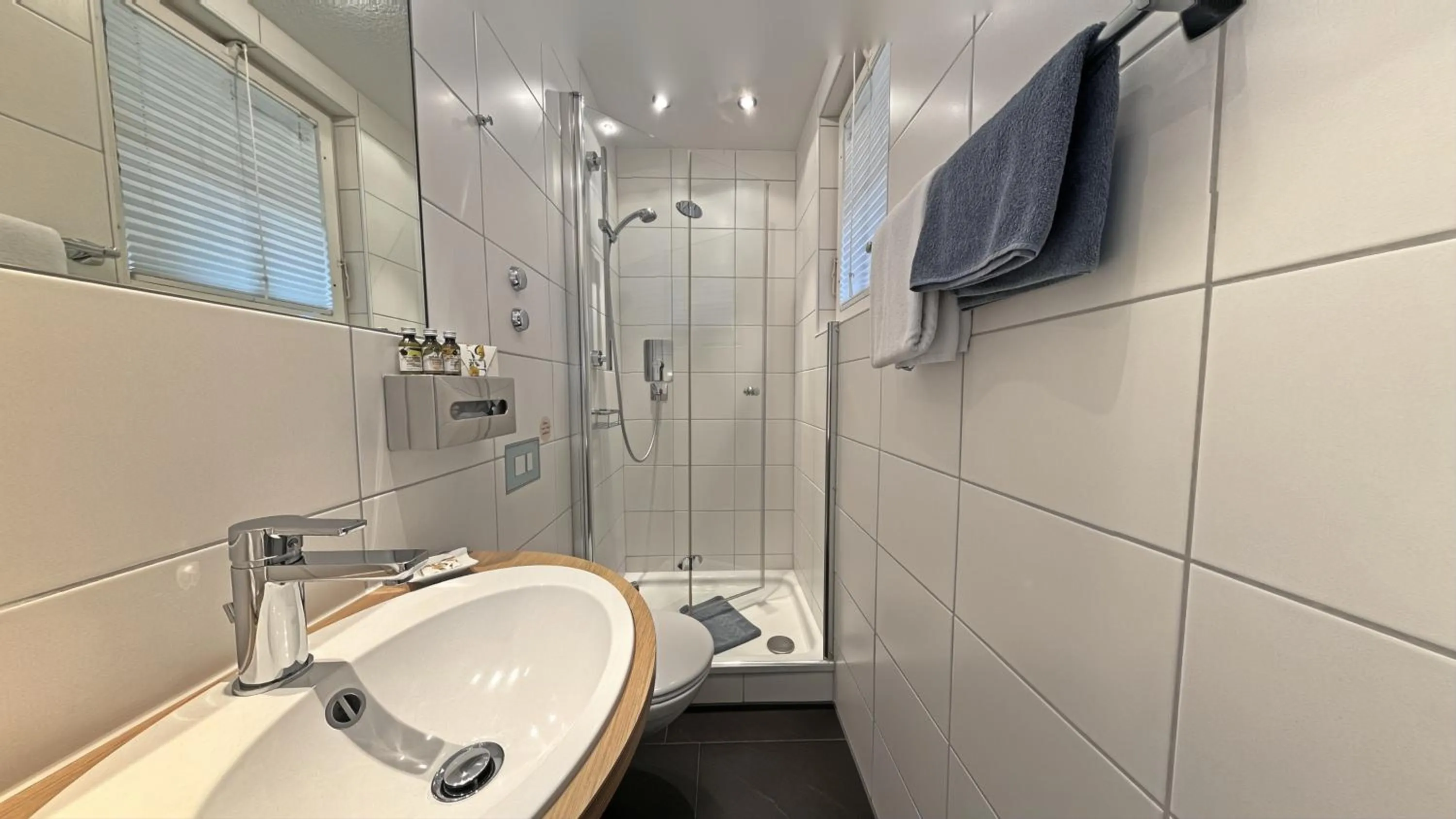 Bathroom in Villa Neugarten