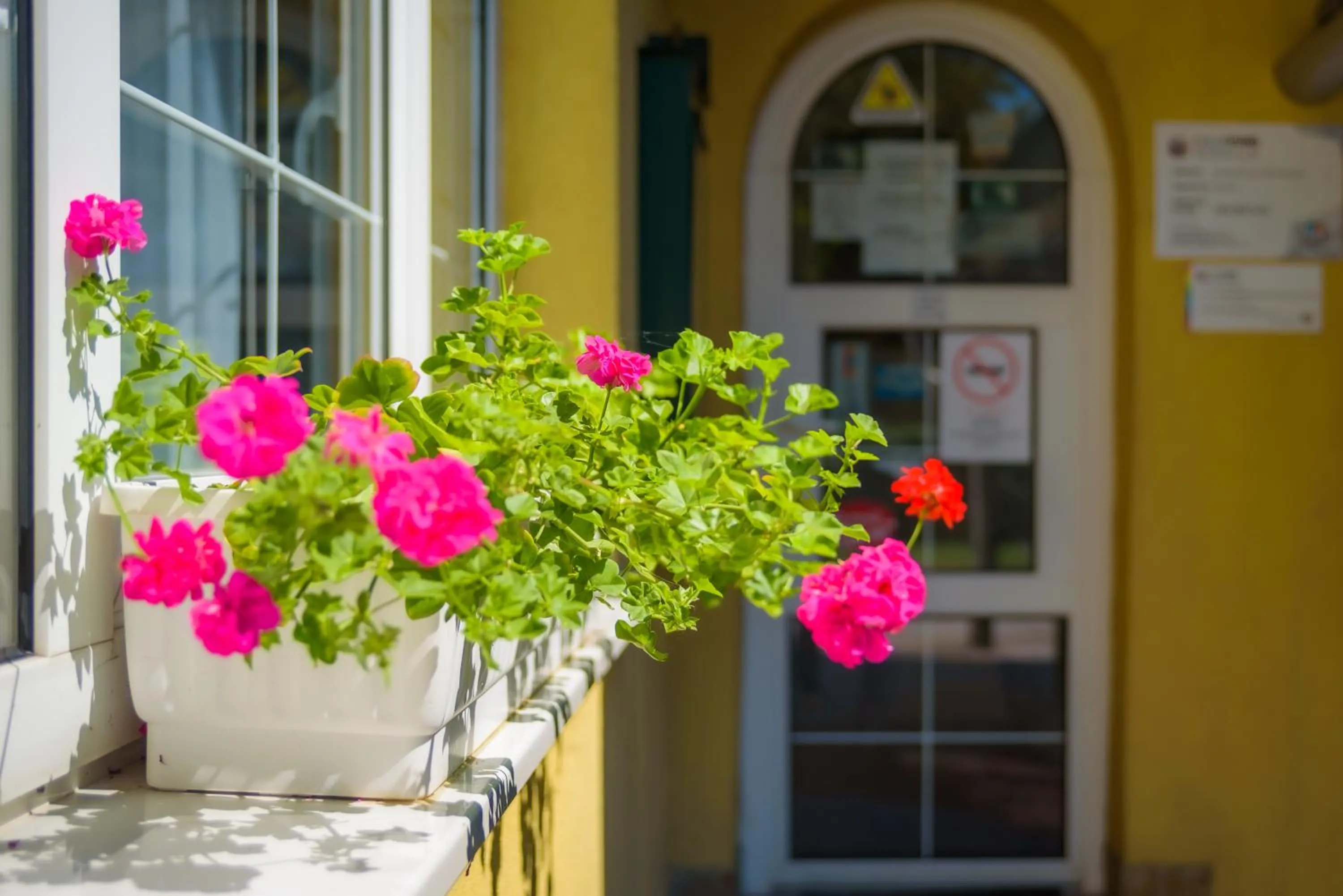 HBH Bajor Sörház Sólyomfészek Panzió