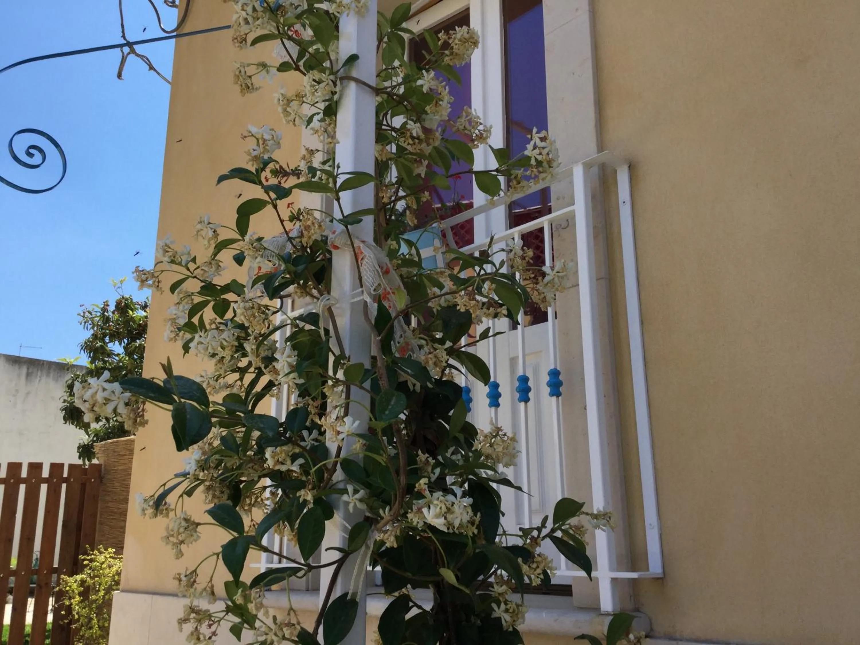 Balcony/Terrace in U' Iazzu