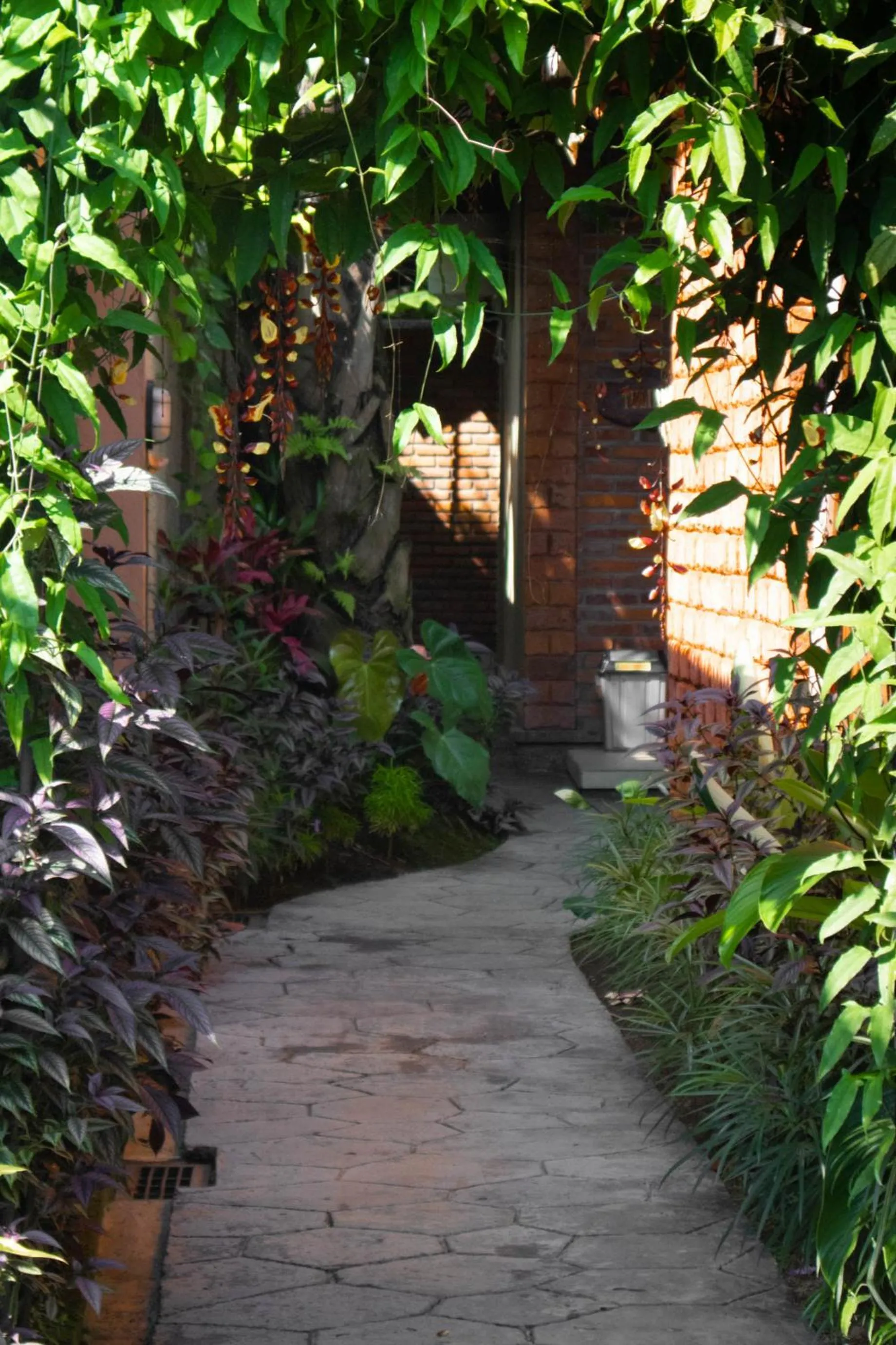 Facade/entrance in Mirah Guest House