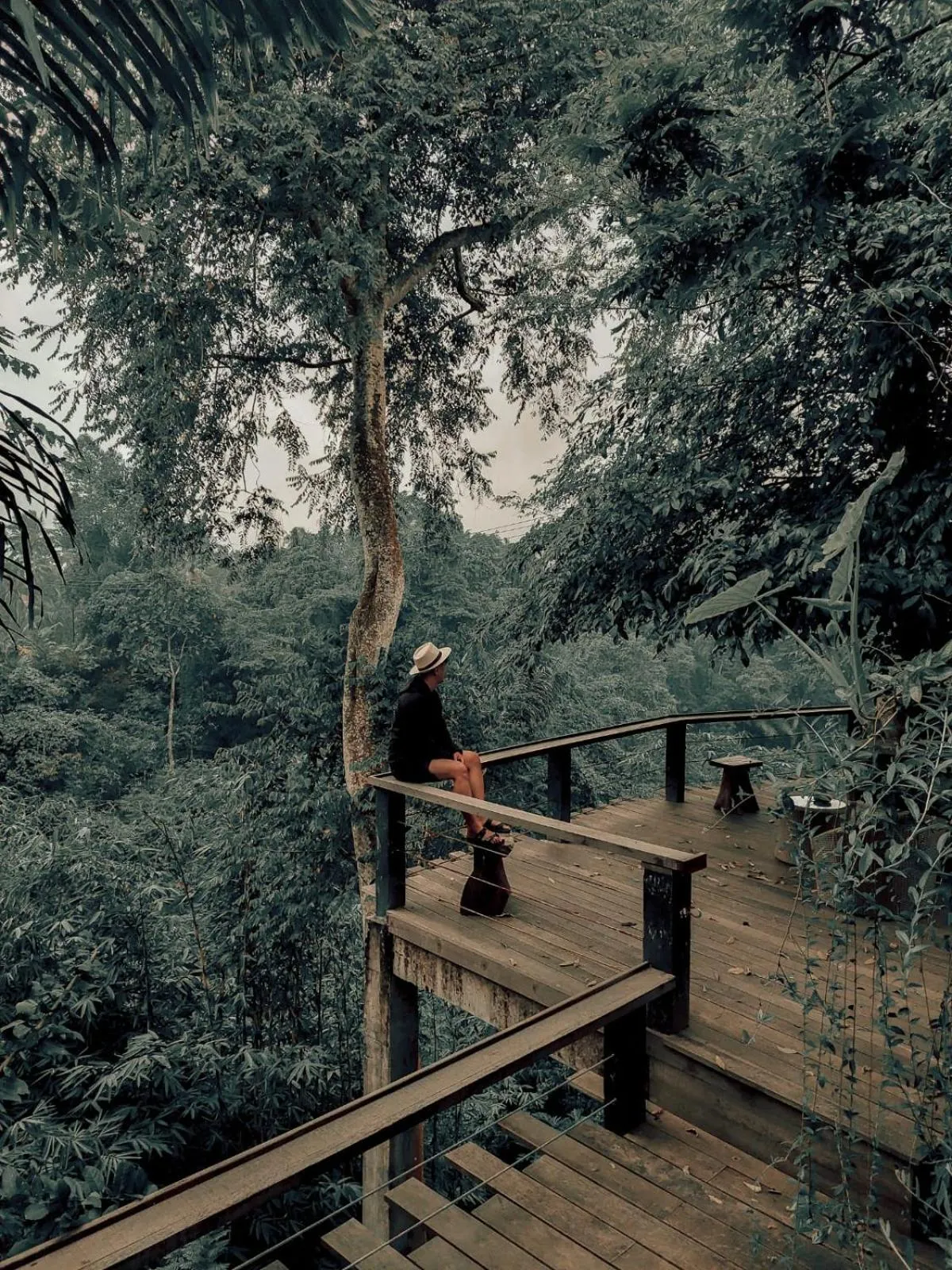 Day in Mirah Guest House